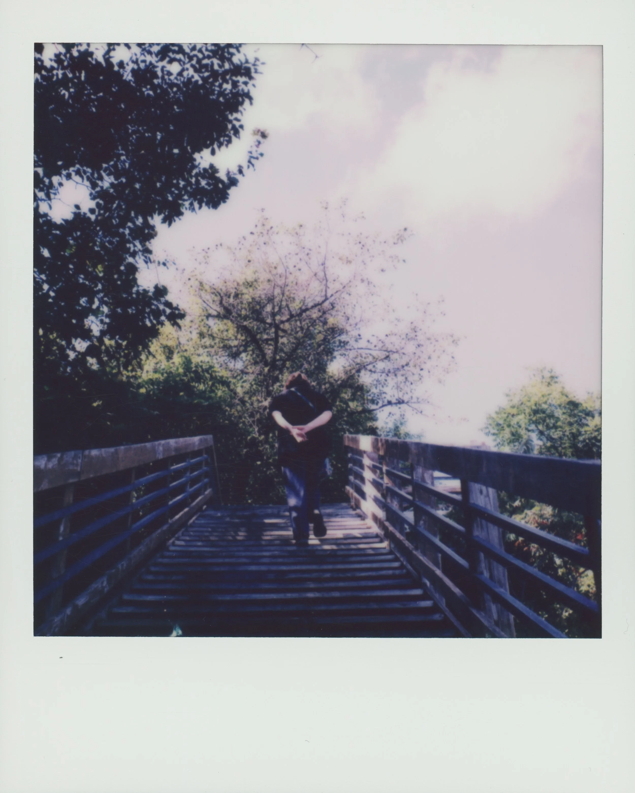 Lake view steps.jpg