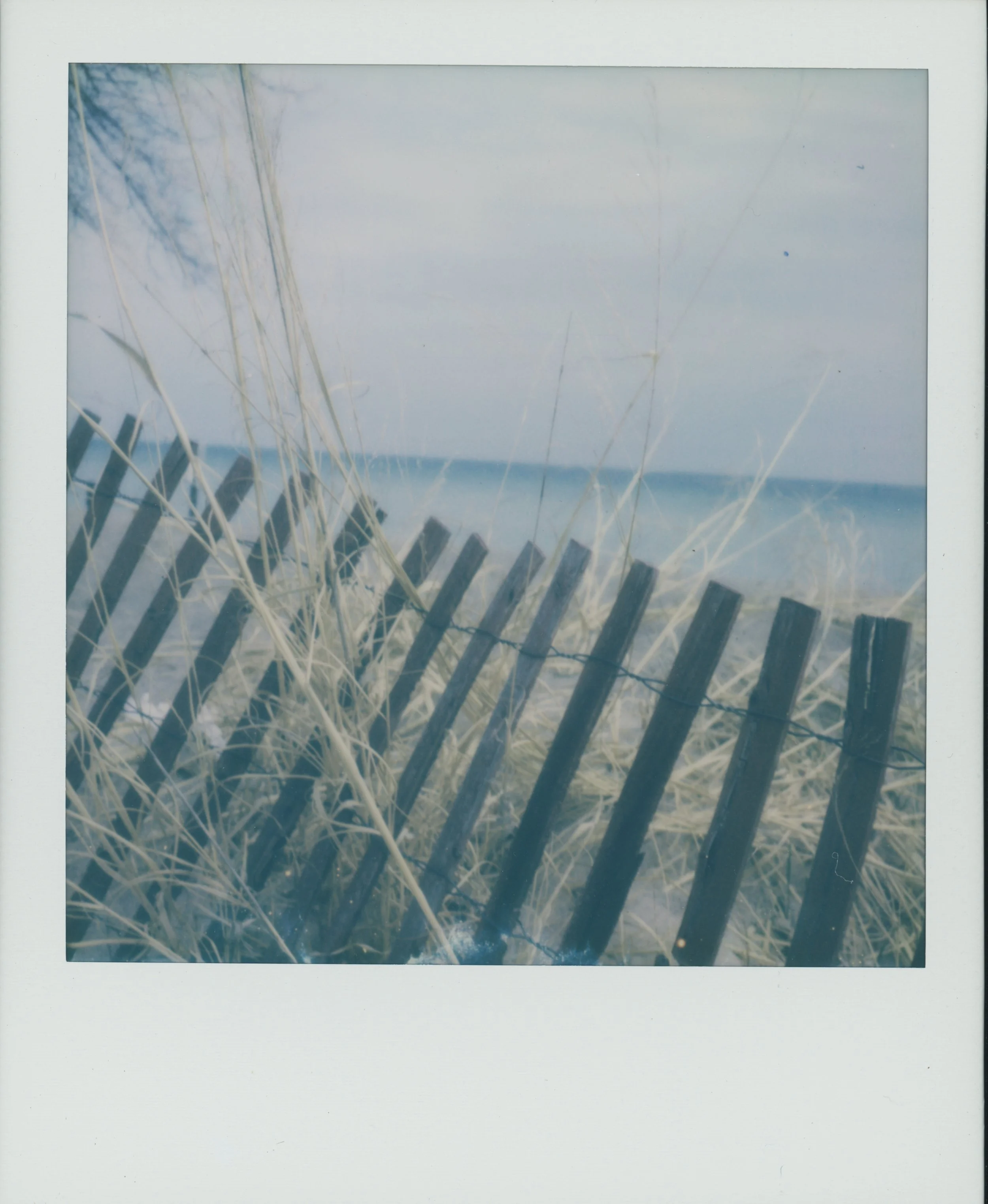 Lighthouse Beach 1.jpg