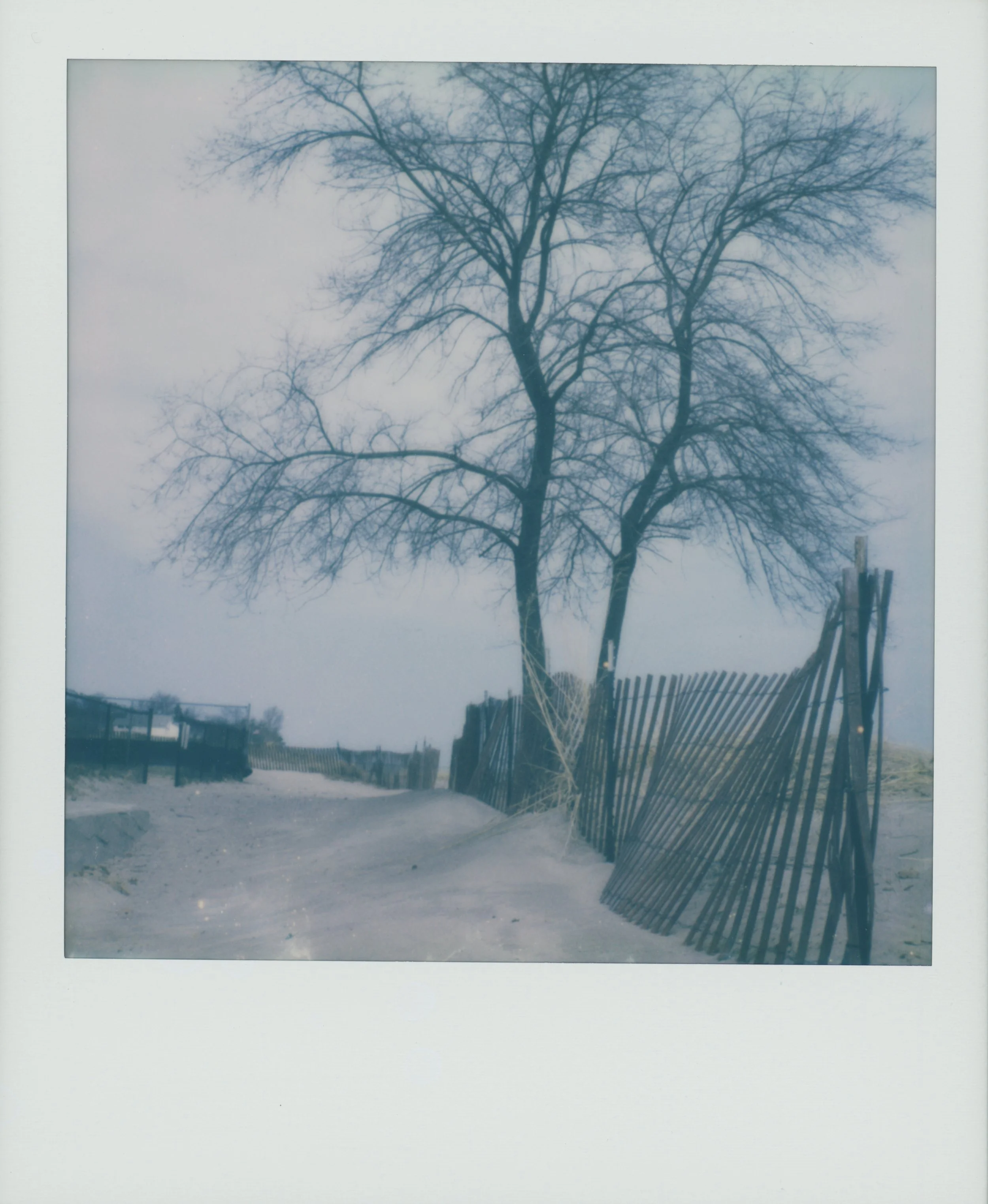 Lighthouse Beach 3.jpg