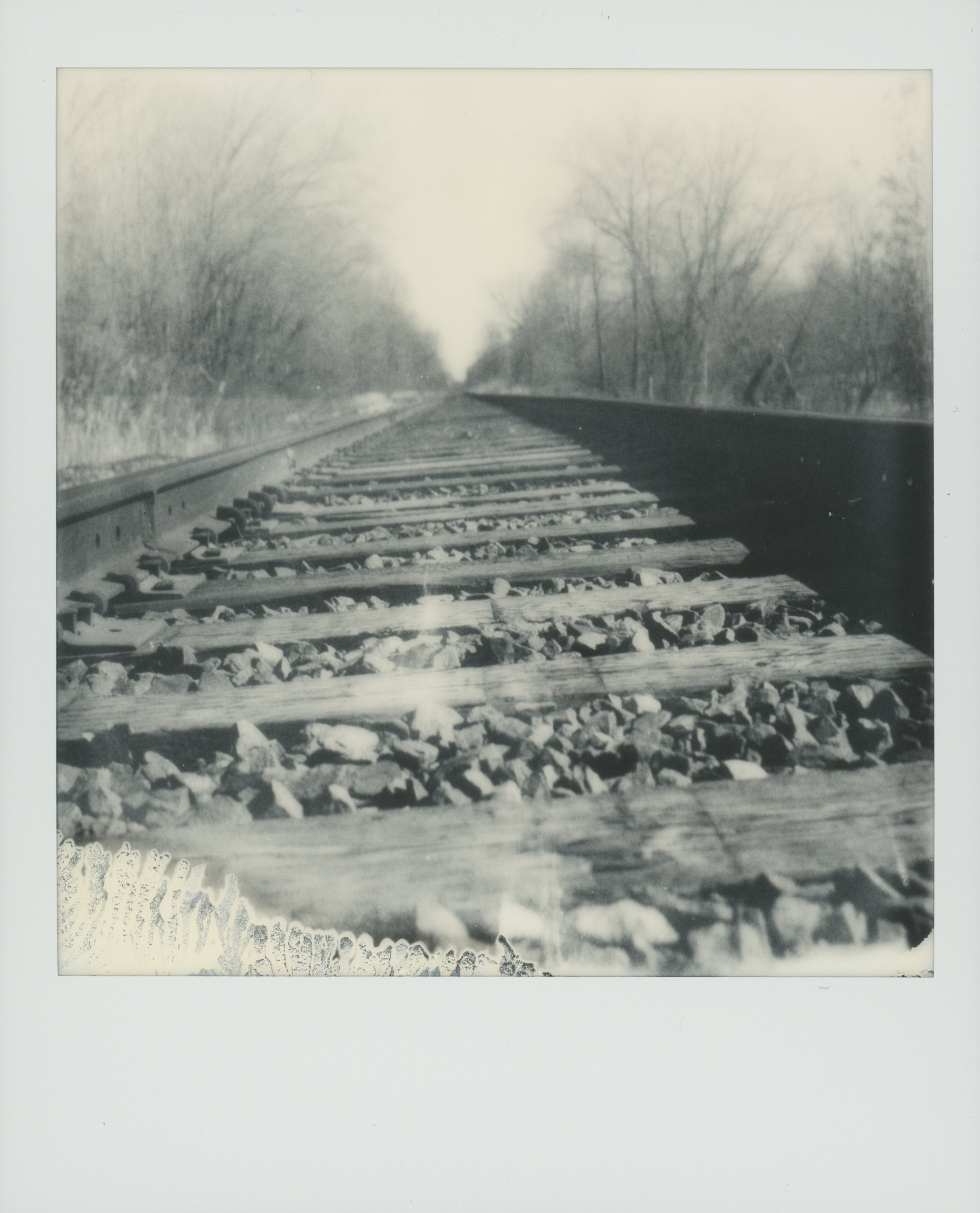 SF8 processed - Wed Feb 22 19-17-00 2023.jpg