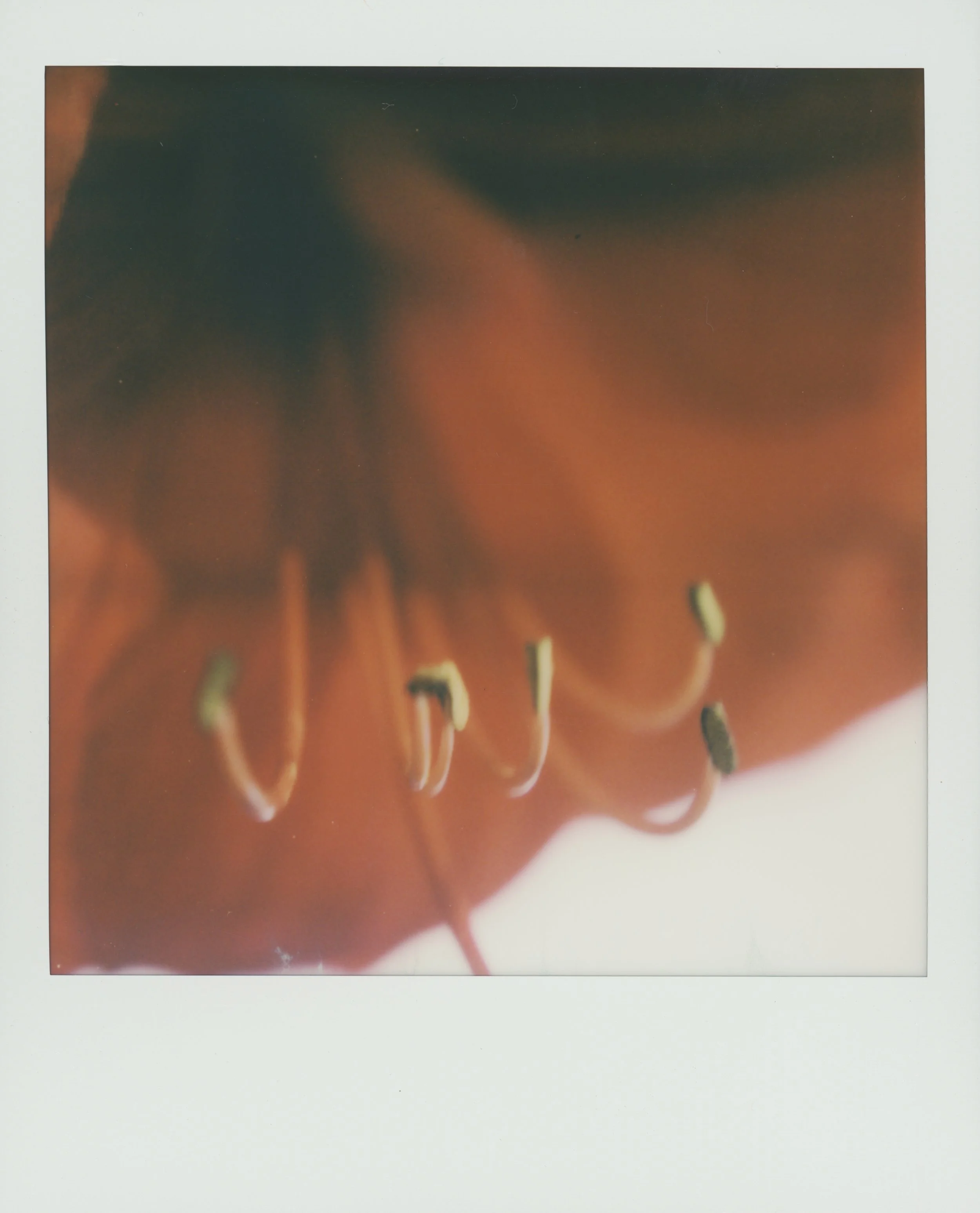 momflower  19.jpg