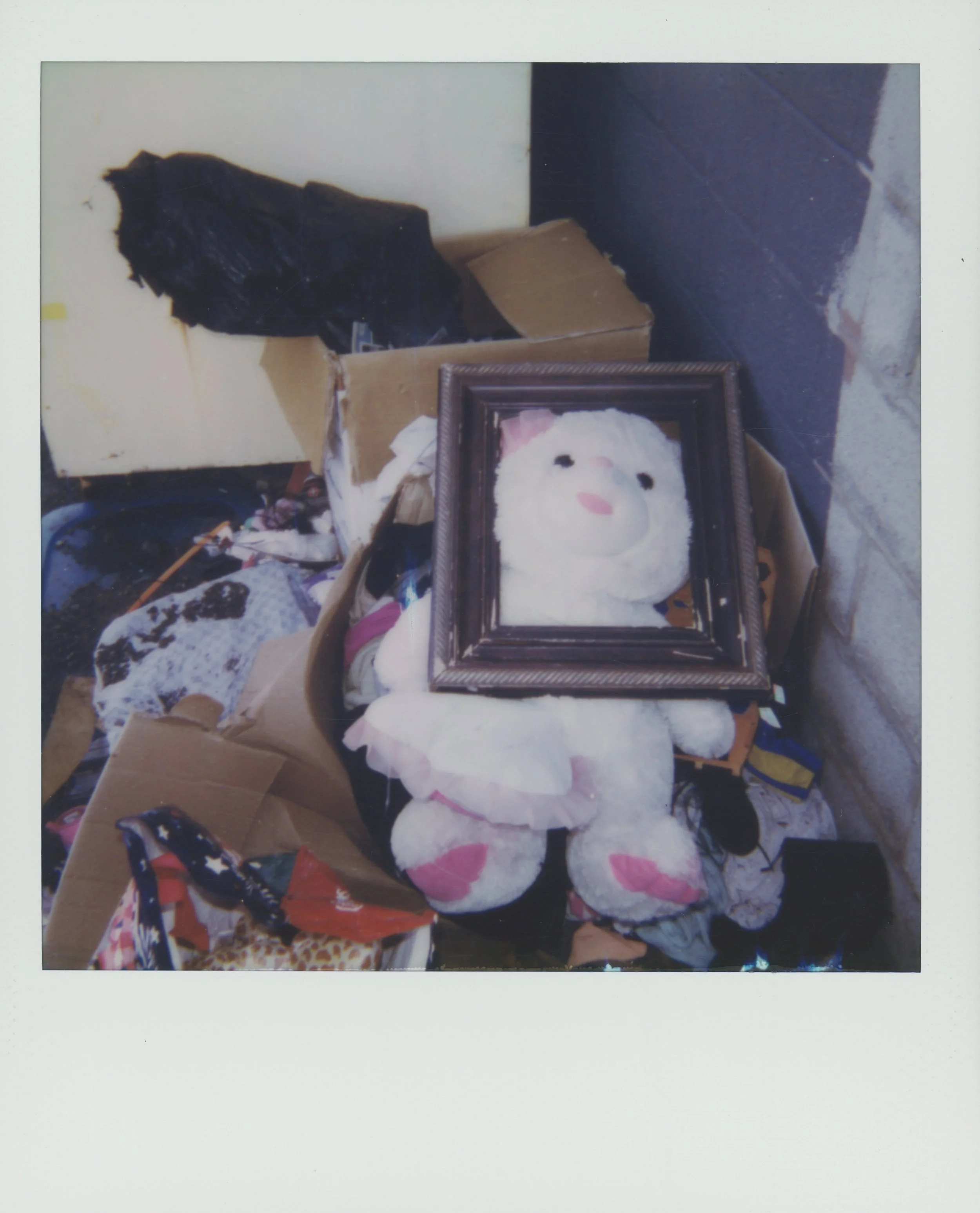 SF8 processed - Wed Feb 22 20-02-10 2023.jpg