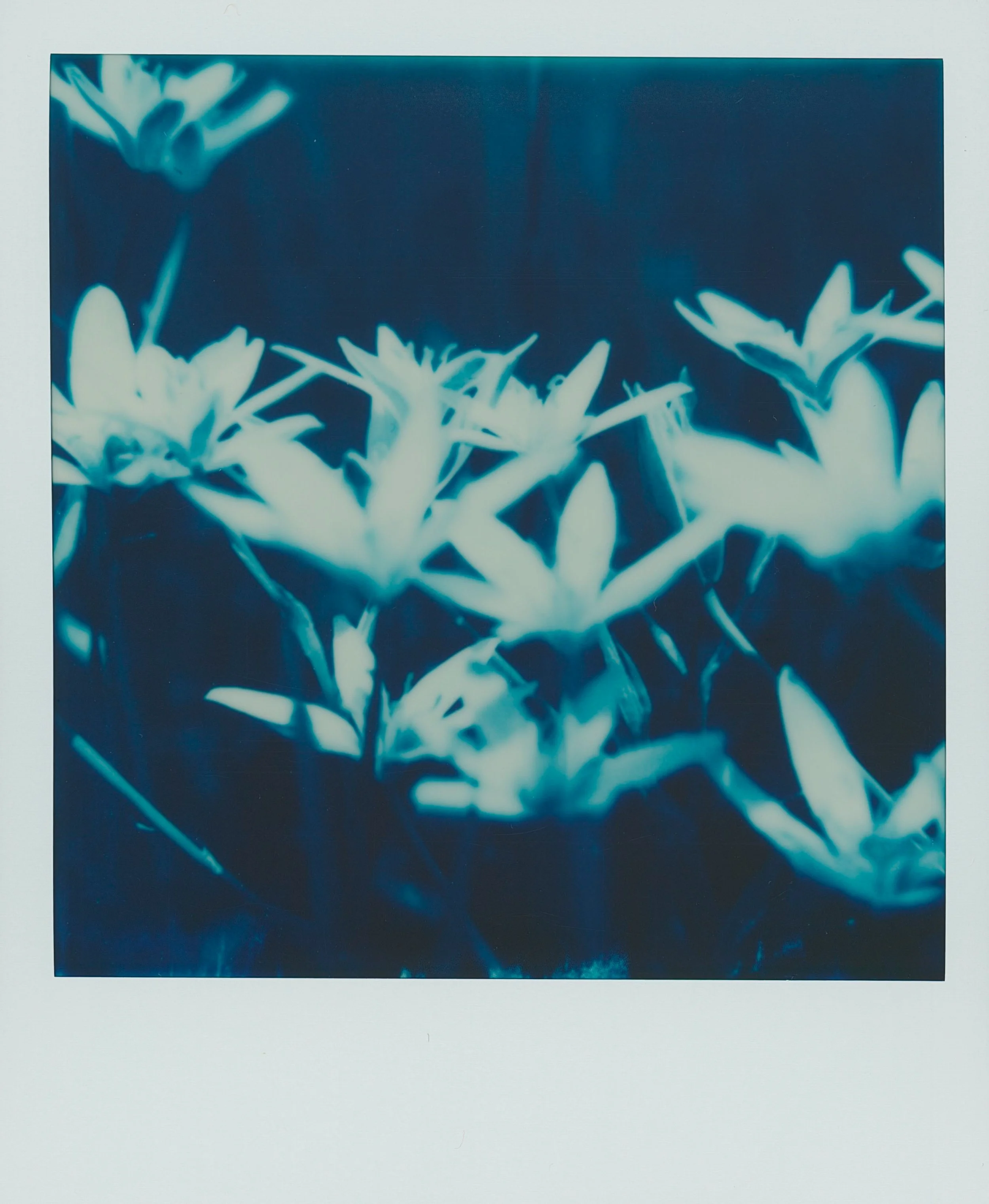 untitled-5-2.jpg