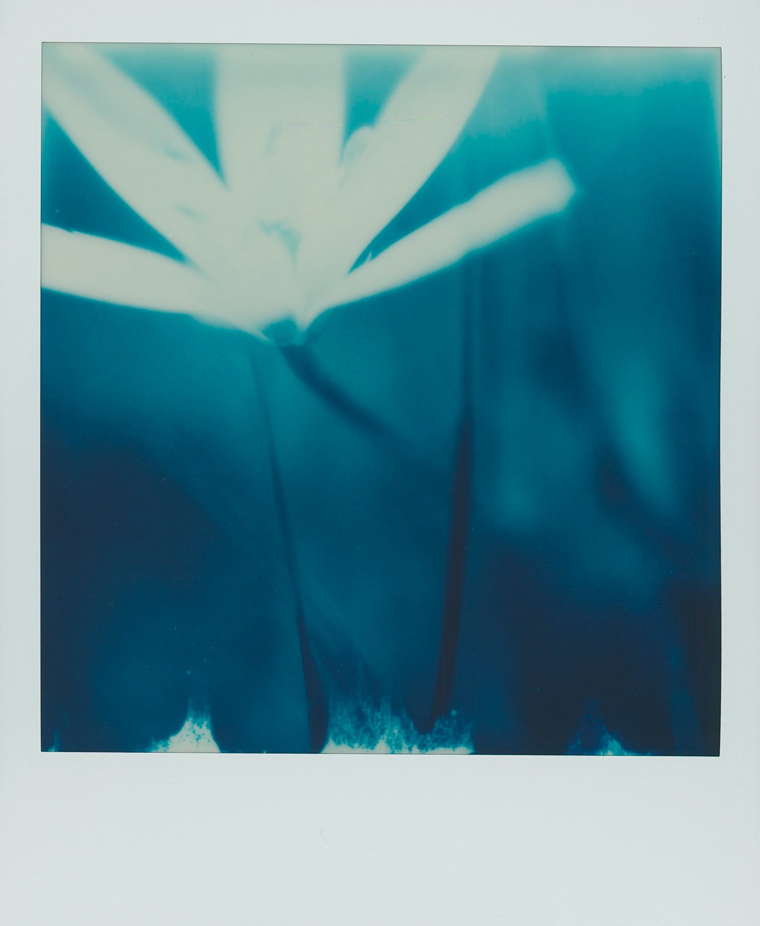 untitled-8-2.jpg