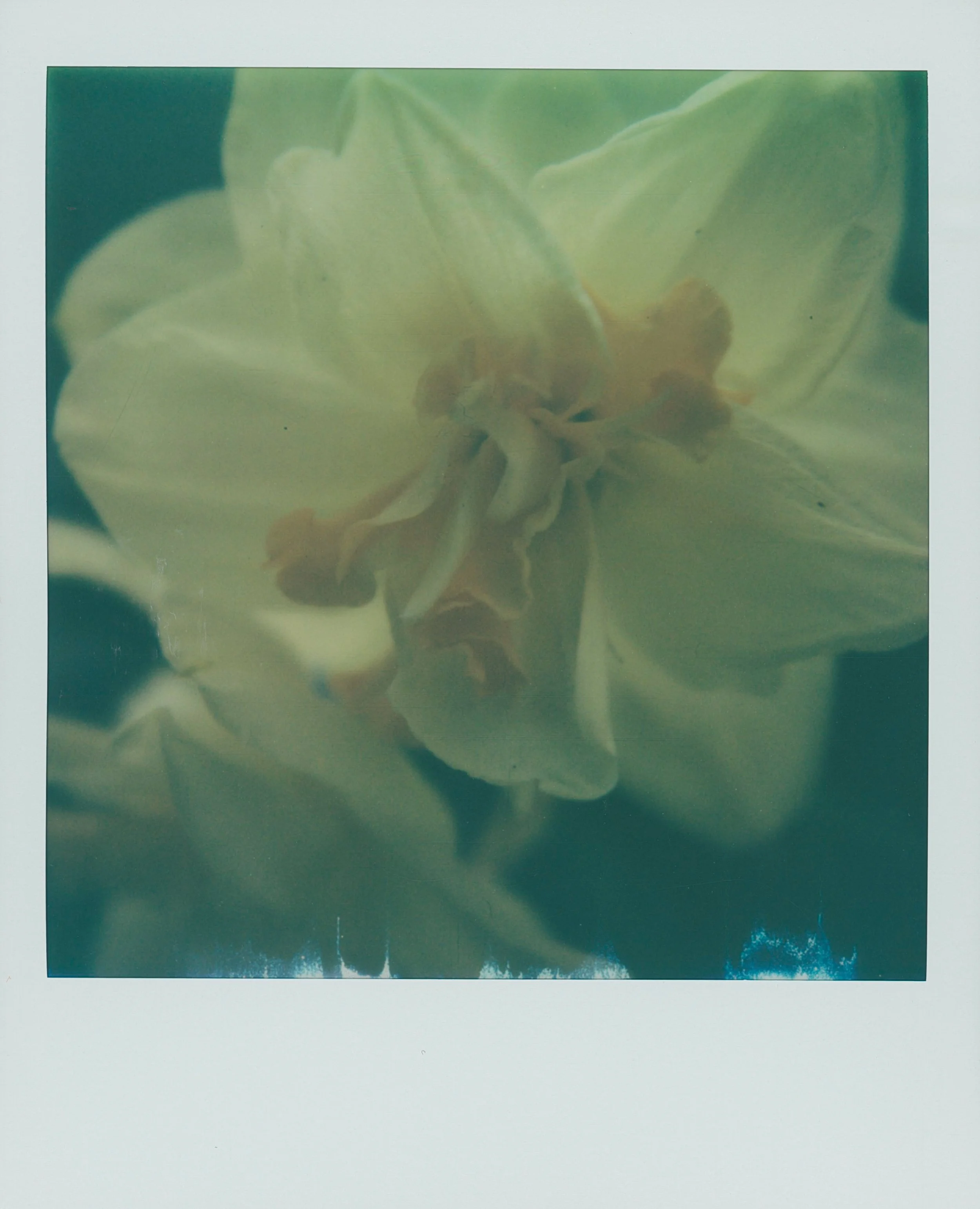 untitled-2.jpg