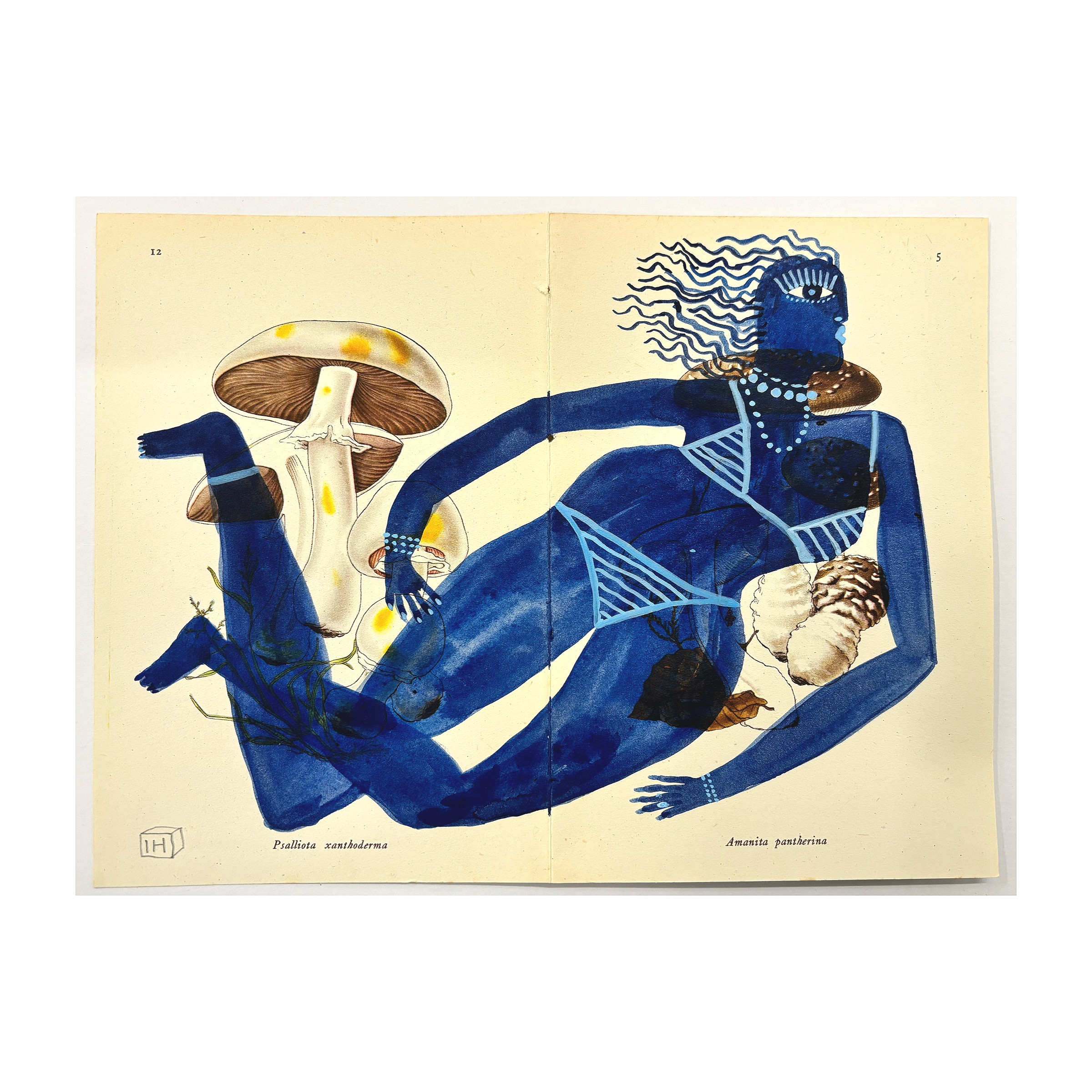 BLUE DANCER on Penguin book II