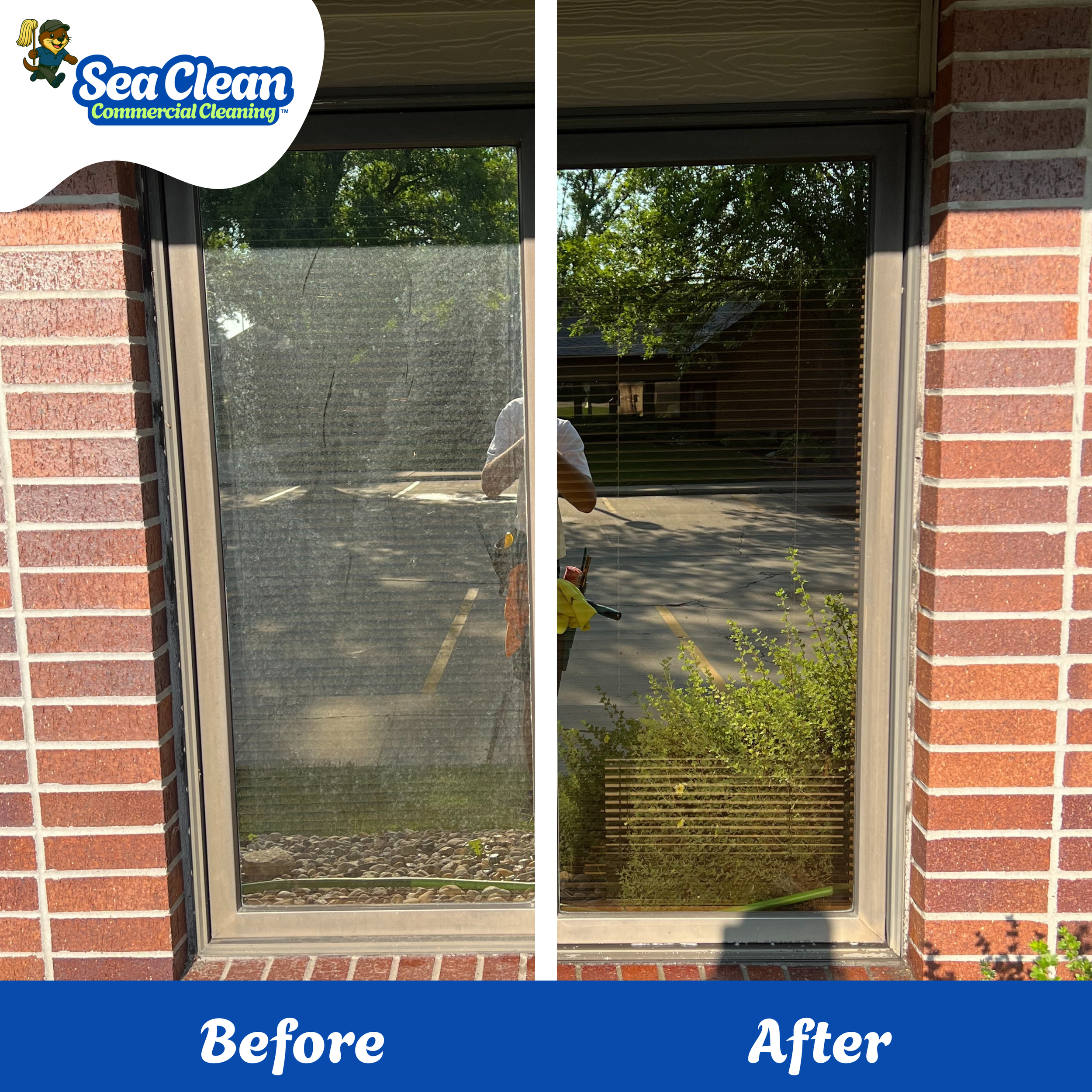 Before and after template.png