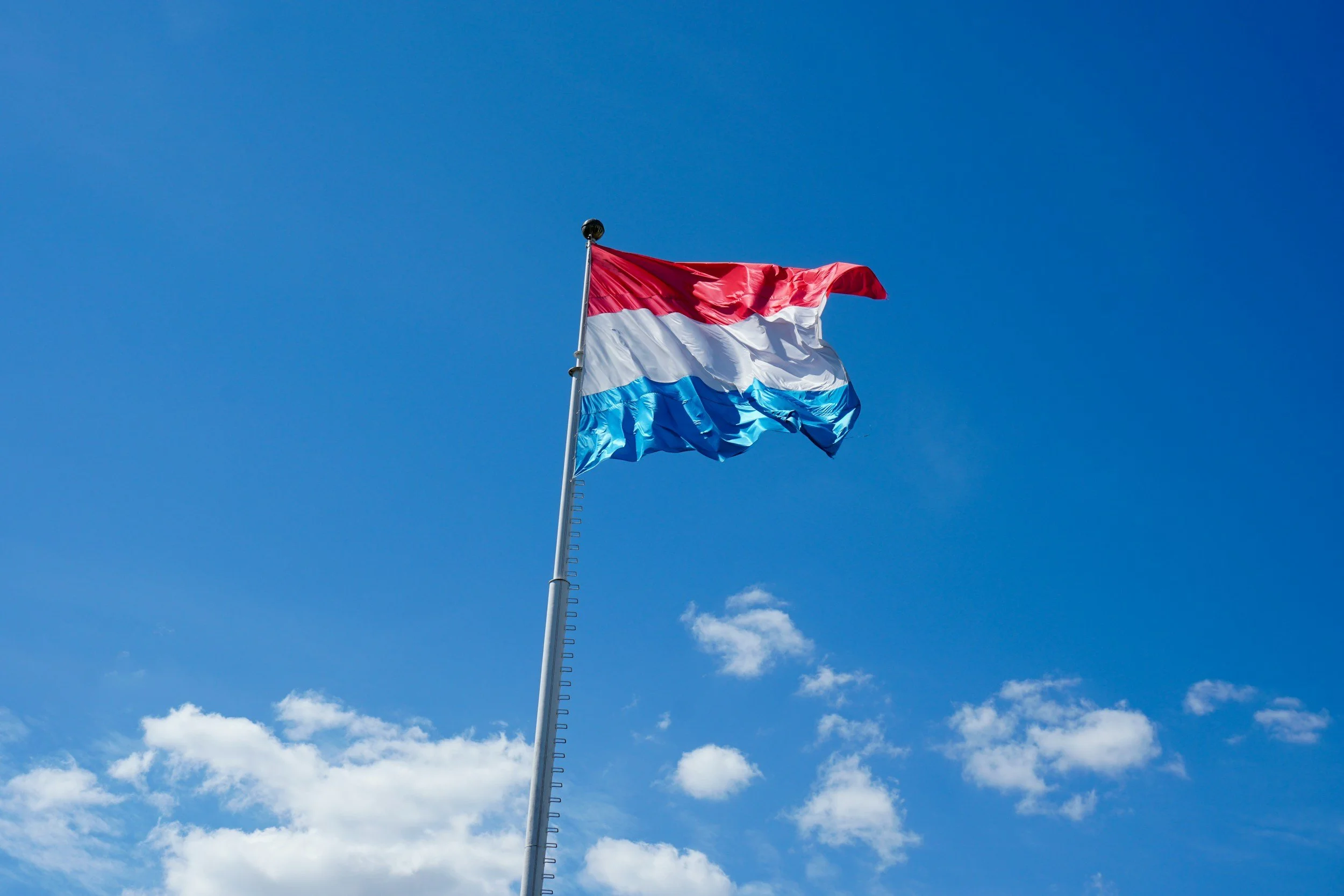 Faut-il vraiment payer pour être visible sur Google au Luxembourg ?