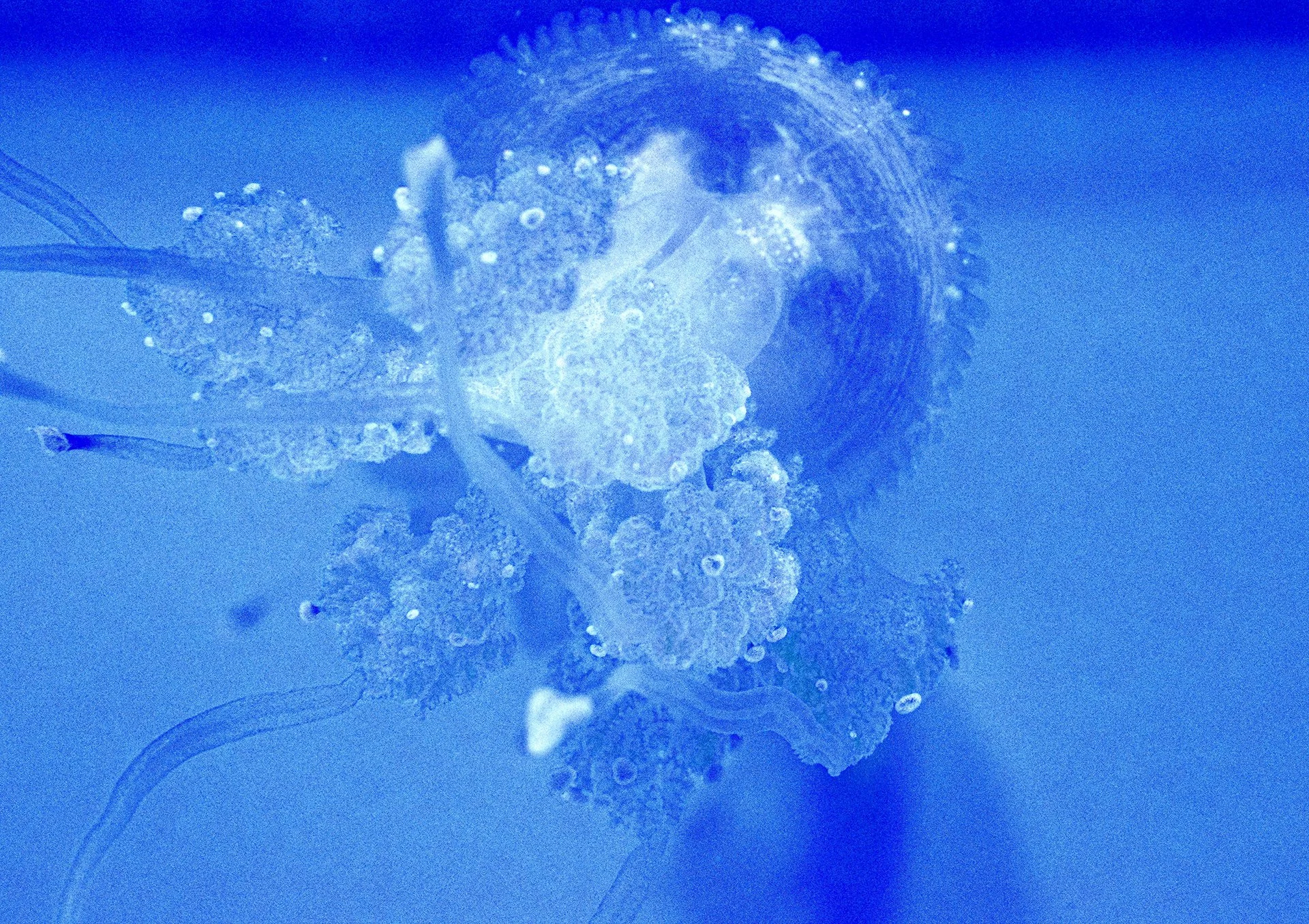 cee00268-ab65-4950-8834-0088d2841ea4_rw_1920.jpg