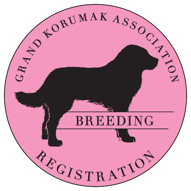 Breeding Dogs