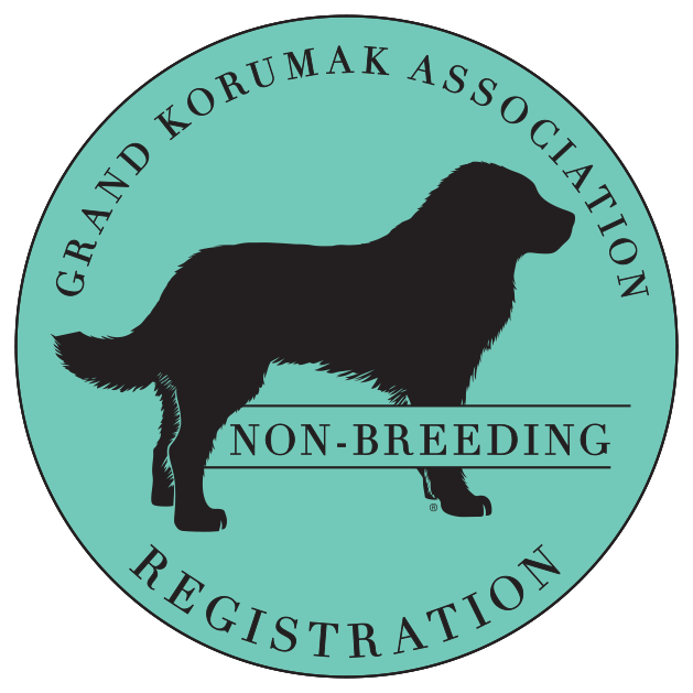 Non-Breeding Dogs