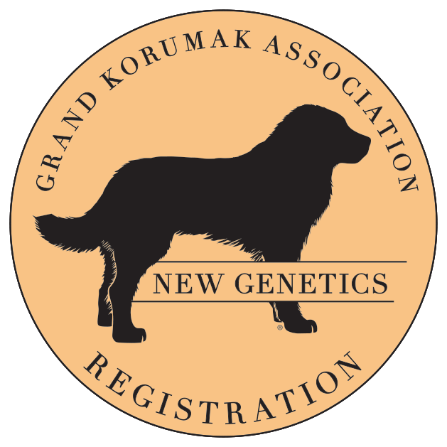 New Genetics