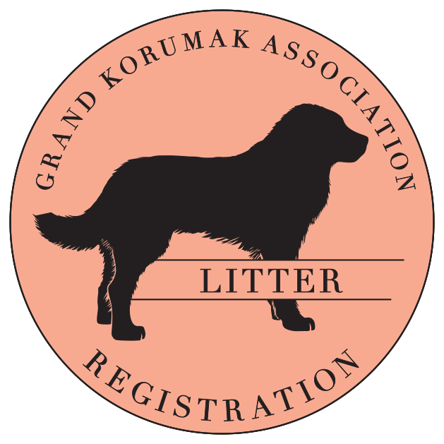 Litter Registration