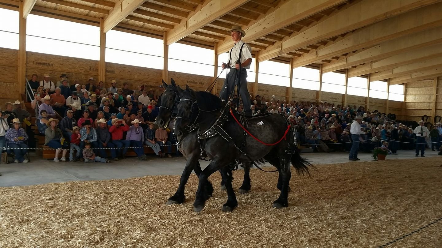 Montana Horse Progress Days