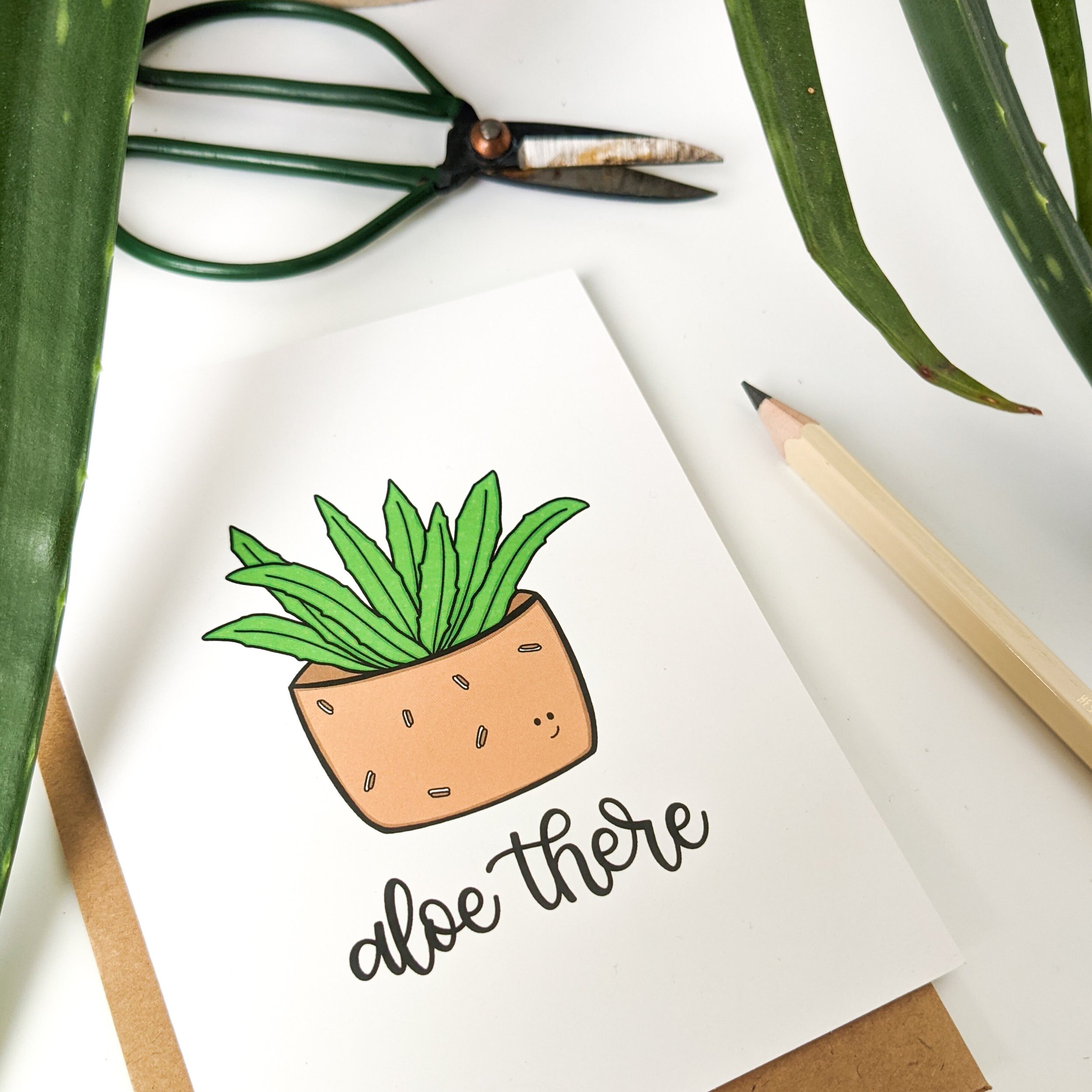 https://i.etsystatic.com/15972033/r/il/ef0b95/3644893377/il_fullxfull.3644893377_2d9m.jpg