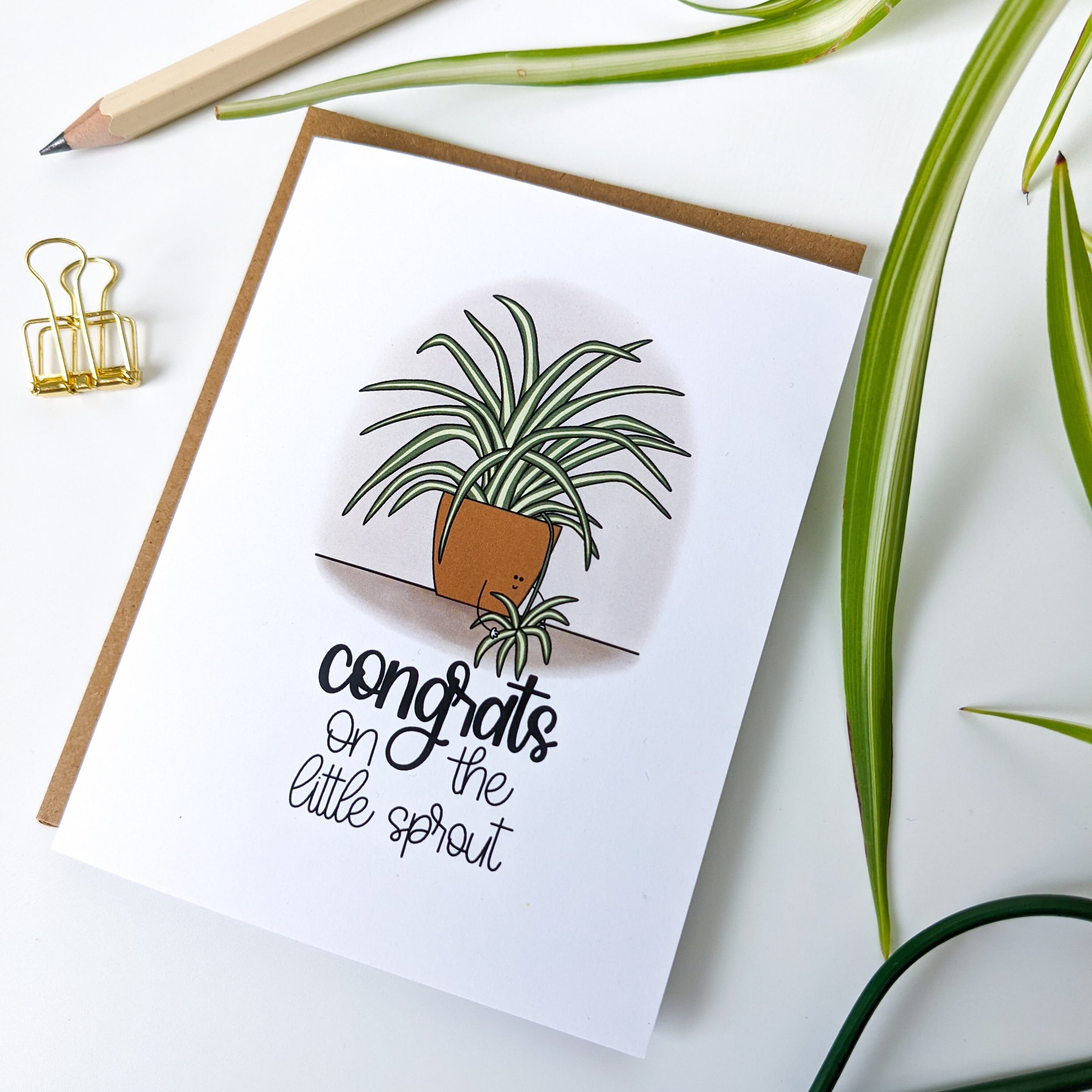 https://www.etsy.com/img/15972033/r/il/8a24db/3796233309/il_fullxfull.3796233309_drns.jpg