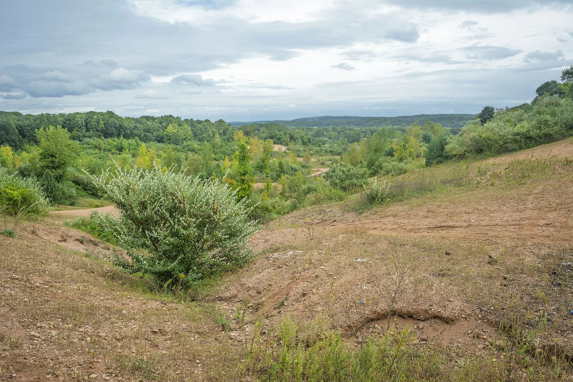 When Humans Arrived in Suffield