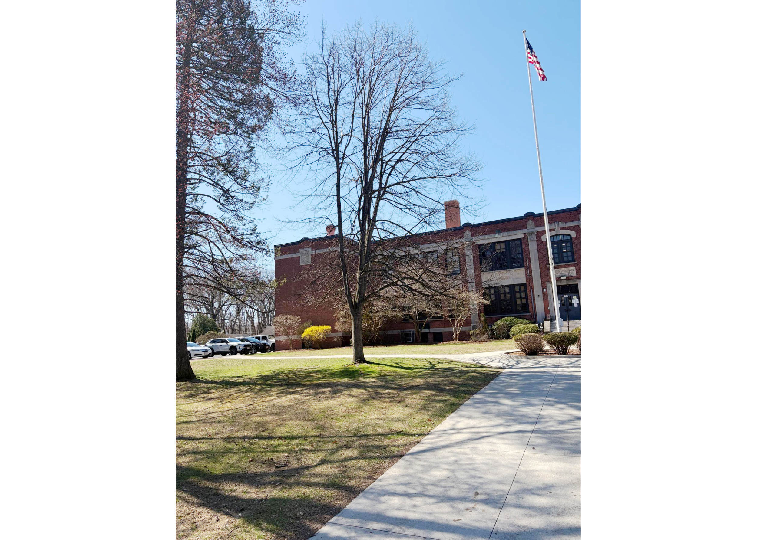 The tree I planted with my uncle and my classmates in the late 20th century