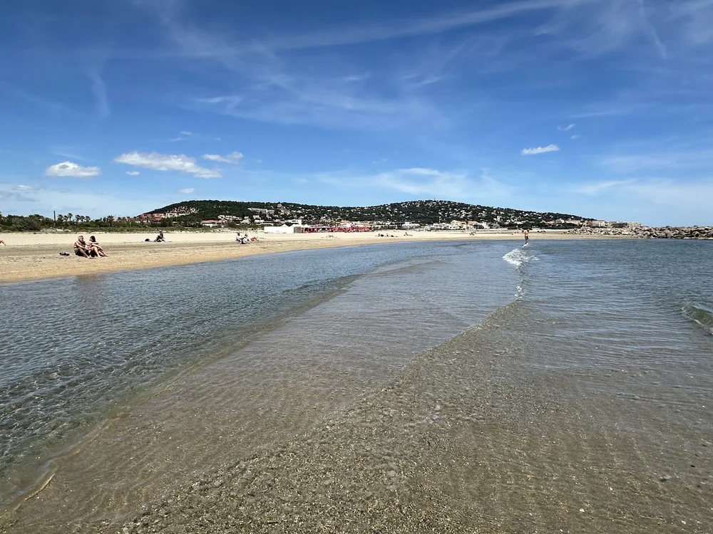 beach from the water.jpg