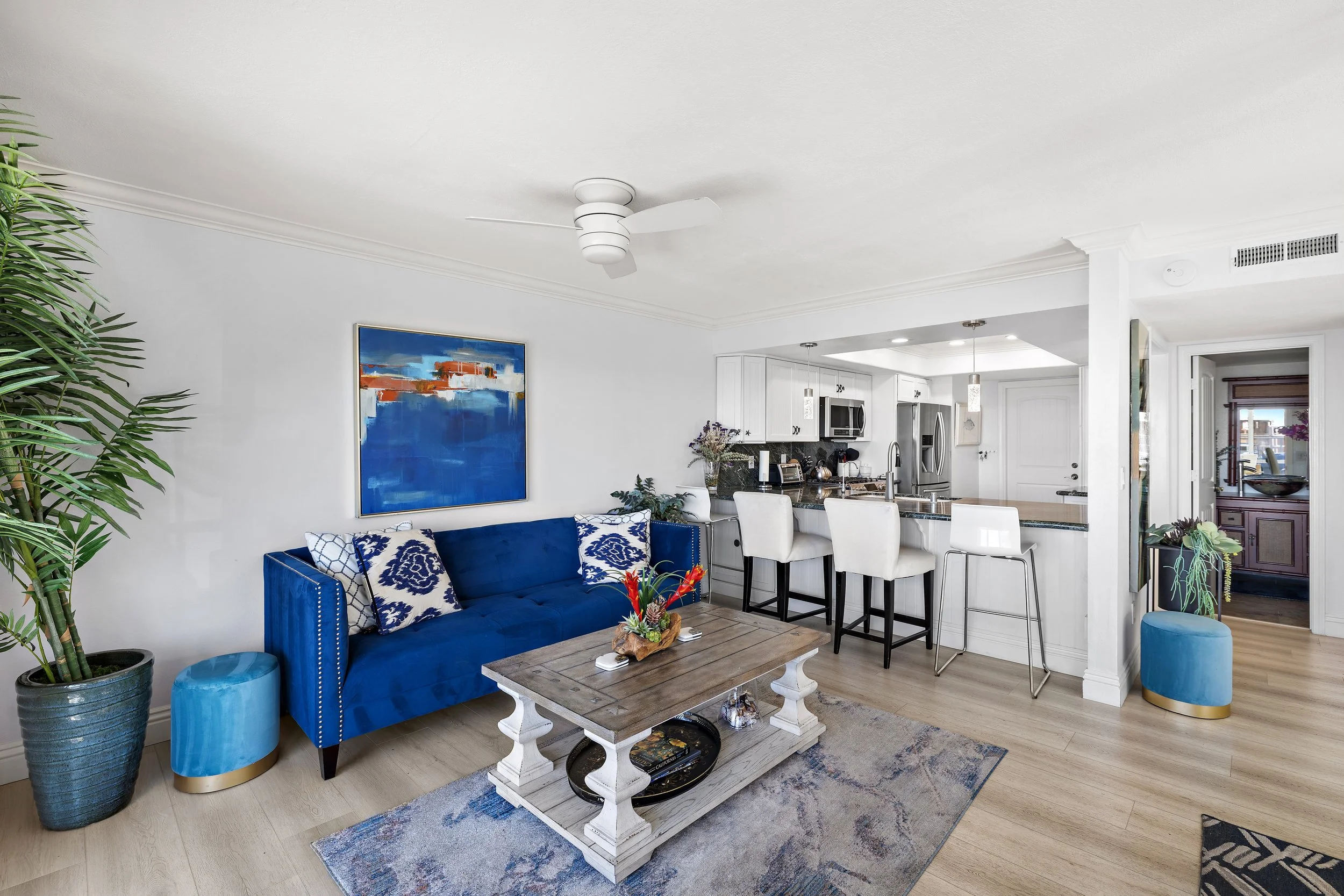 12-print-26056 Vista DAY 12 copy.jpg