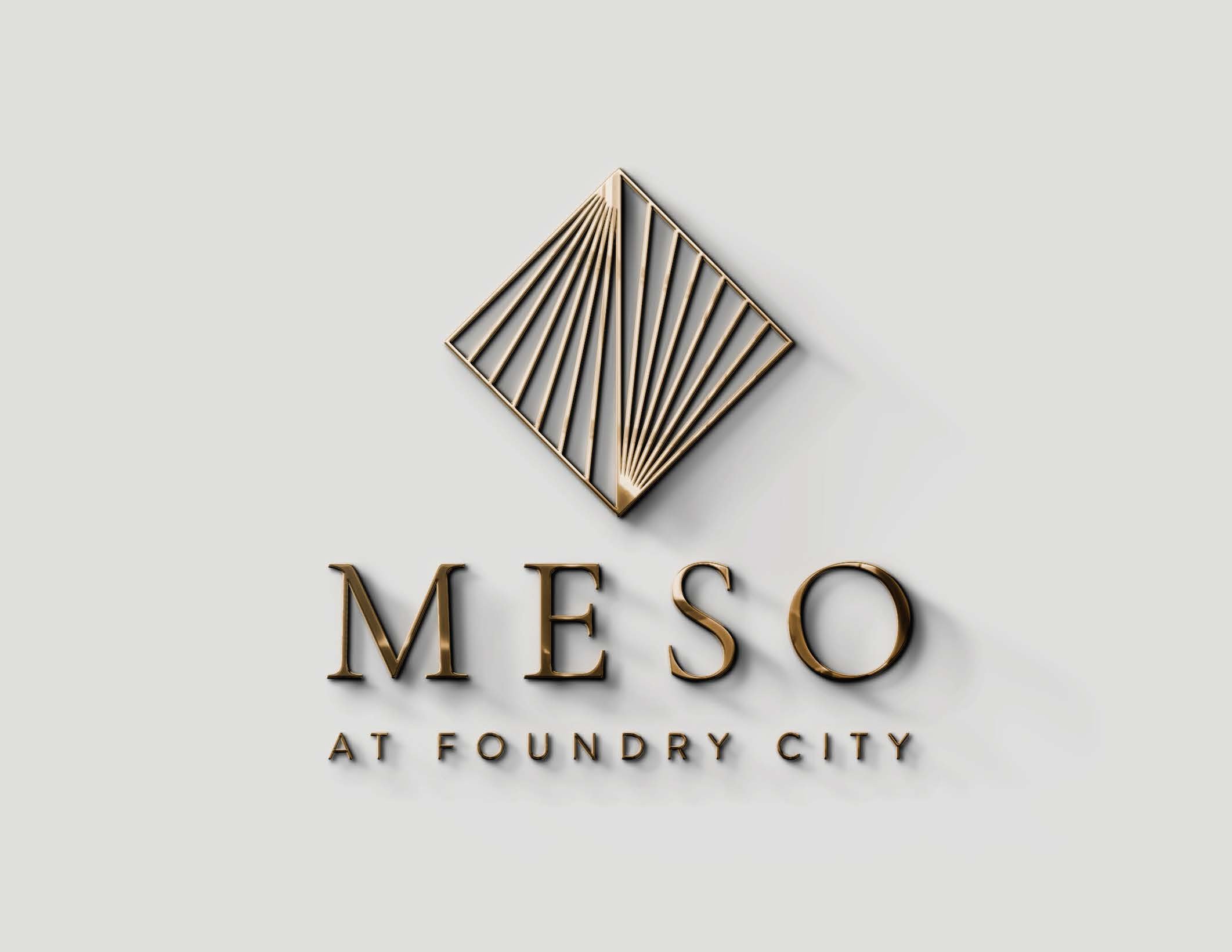 Mai_MESO_LogoPackage_Page_16.jpg
