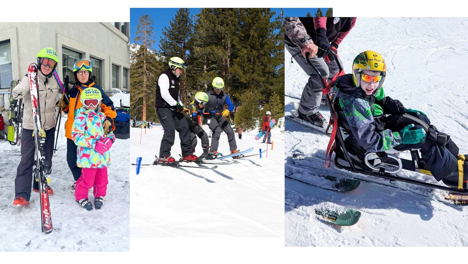 New Adaptive families - Assessment