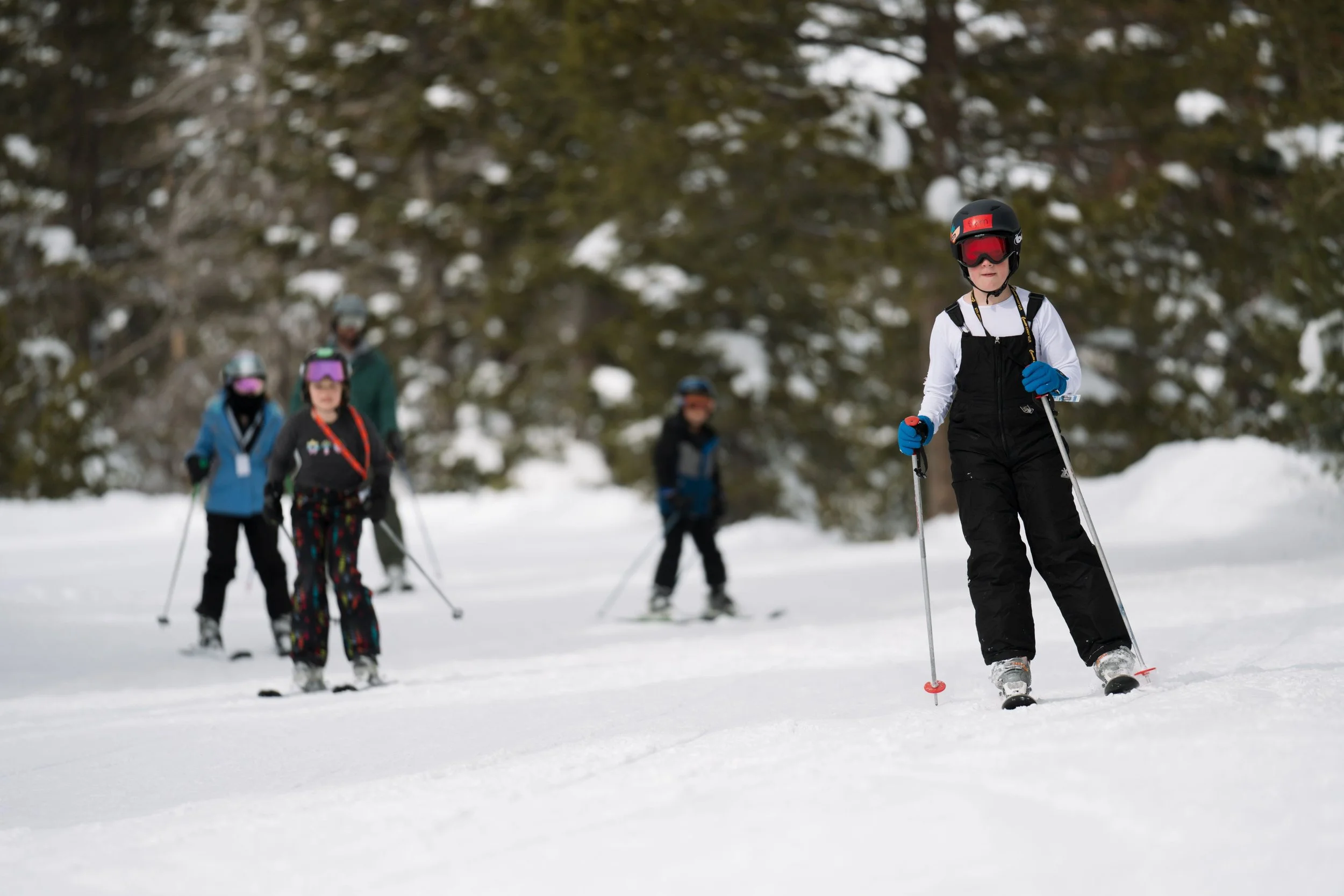 Returning Members (ages 4-17): Sorting + Leveling Cards