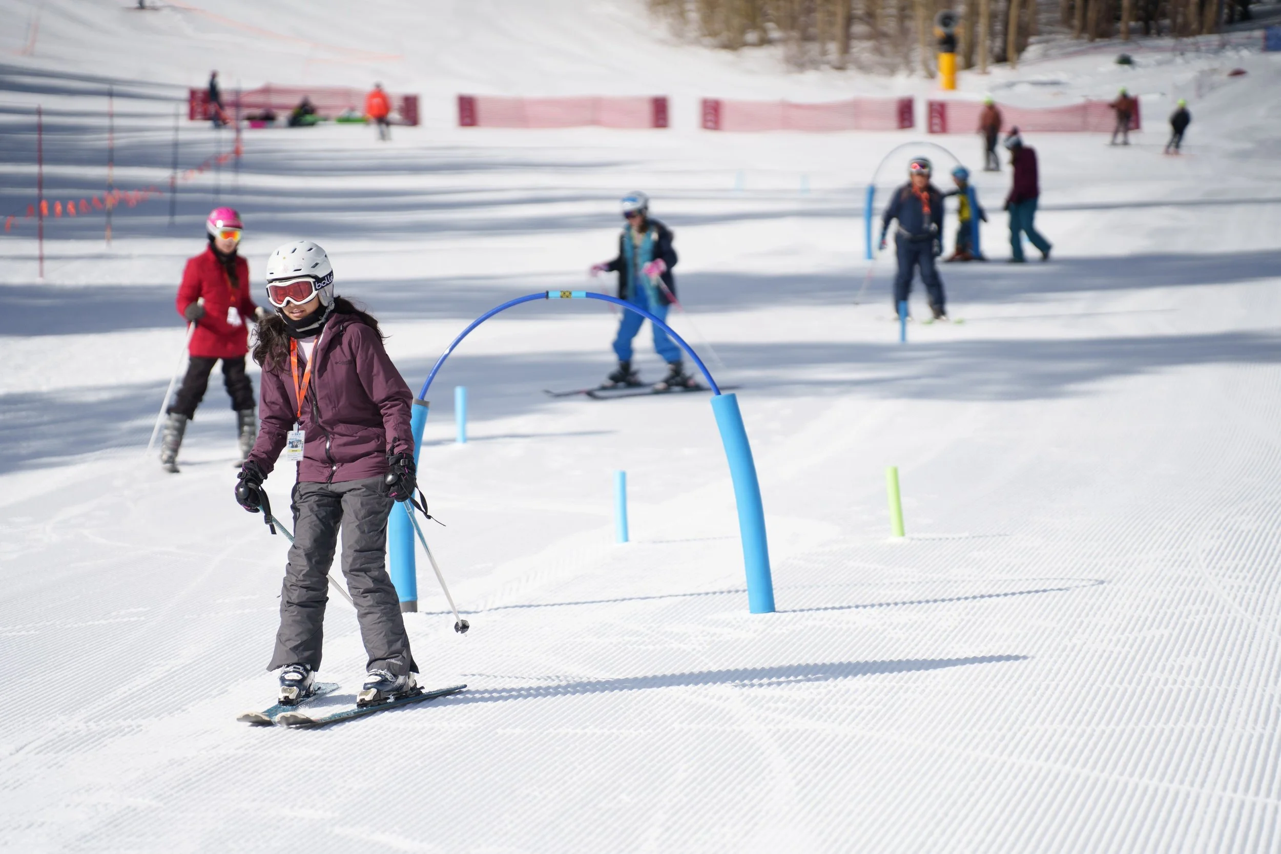 Returning Members (ages 4-17): Sorting + Leveling Cards 