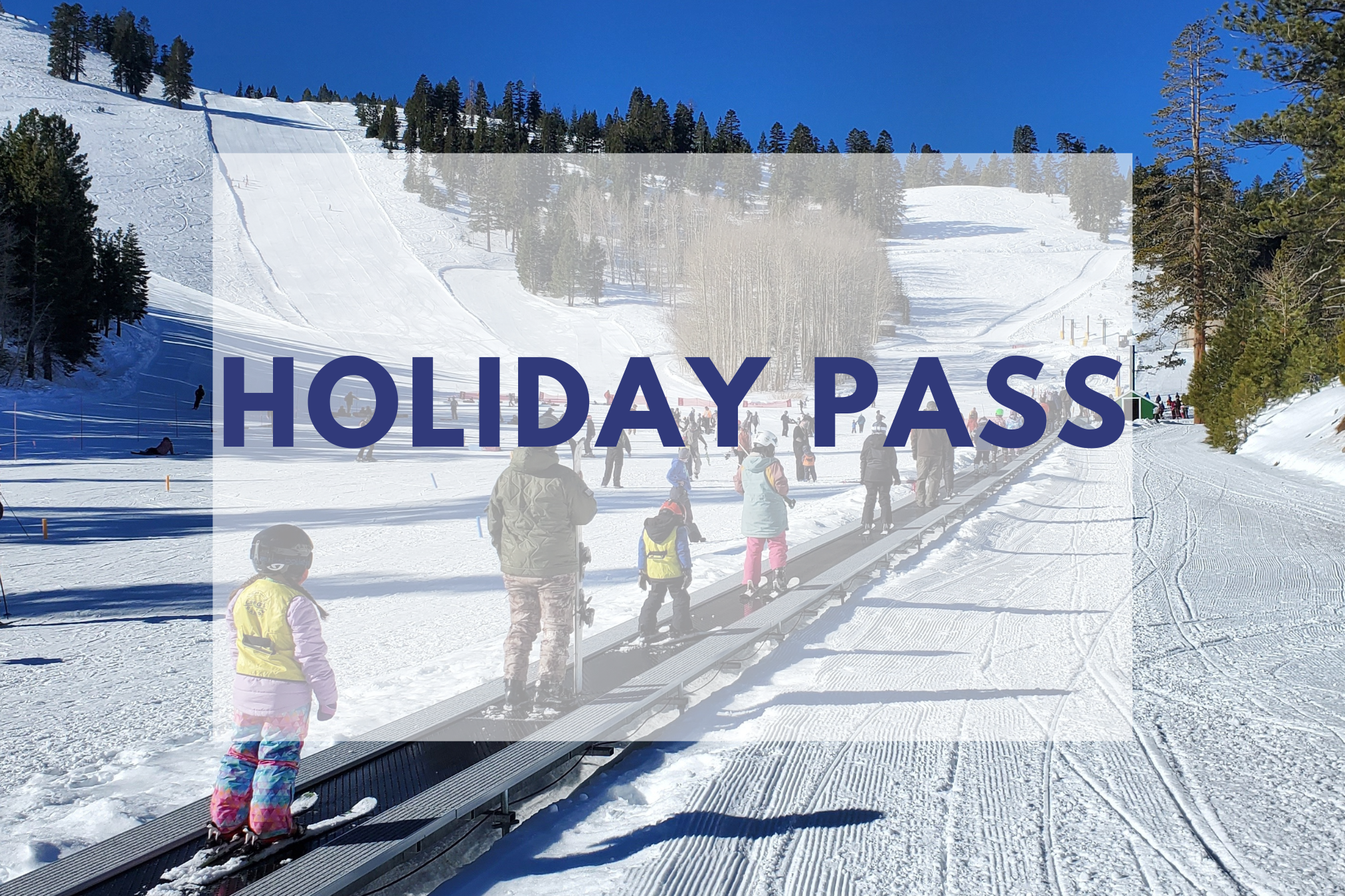 Open for Anti Blackout Holiday Passholders