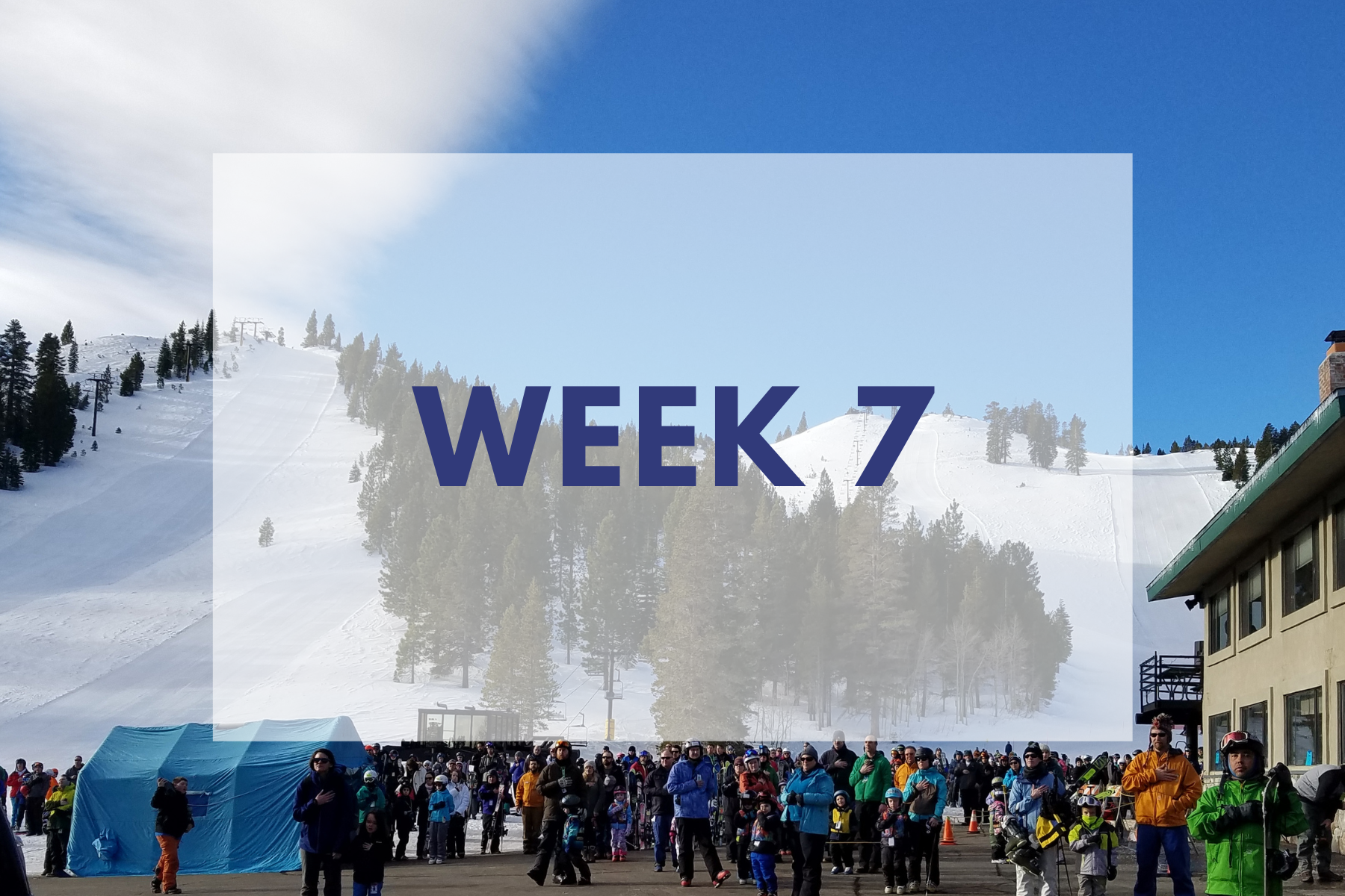 Week 7 