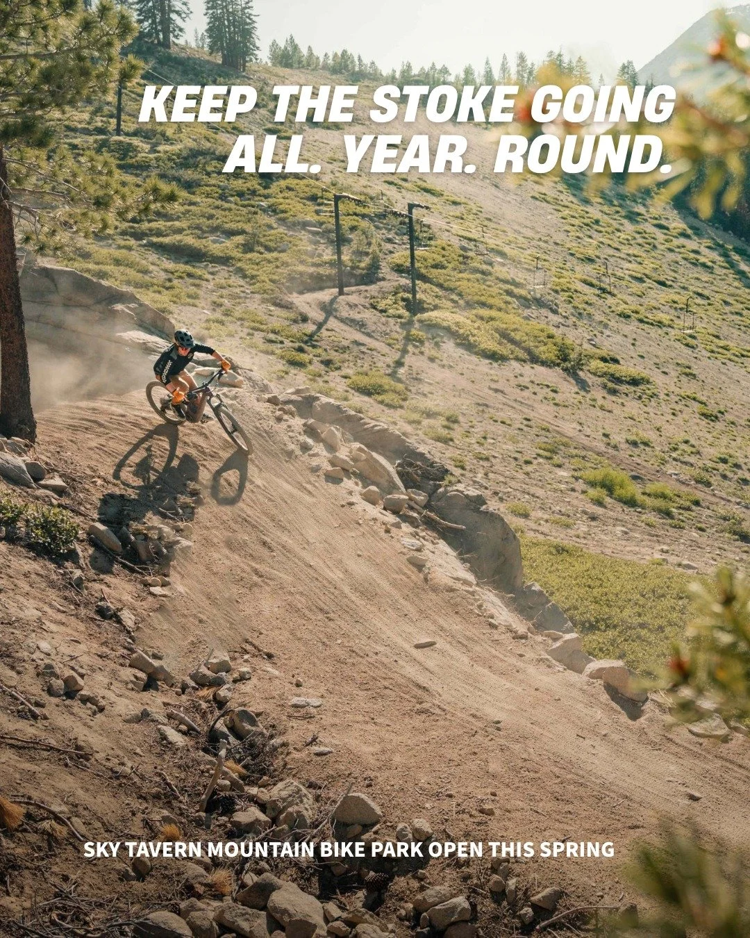 Did you know Sky Tavern is not just a winter mountain?

Summer at Sky Tavern means Bike Park and a variety of fun events for the family. Follow along at @skytavernbikepark

Year-round access. Year-round mission. Year-round community. That's how we do
