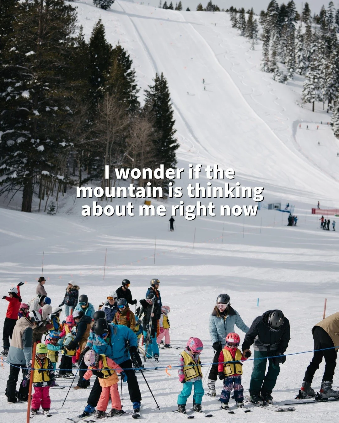 Cause we're definitely thinking about them...

Turn those day dreams into a reality by heading to the link in our bio to grab your 2027 Learn to Ski and Ride passes!