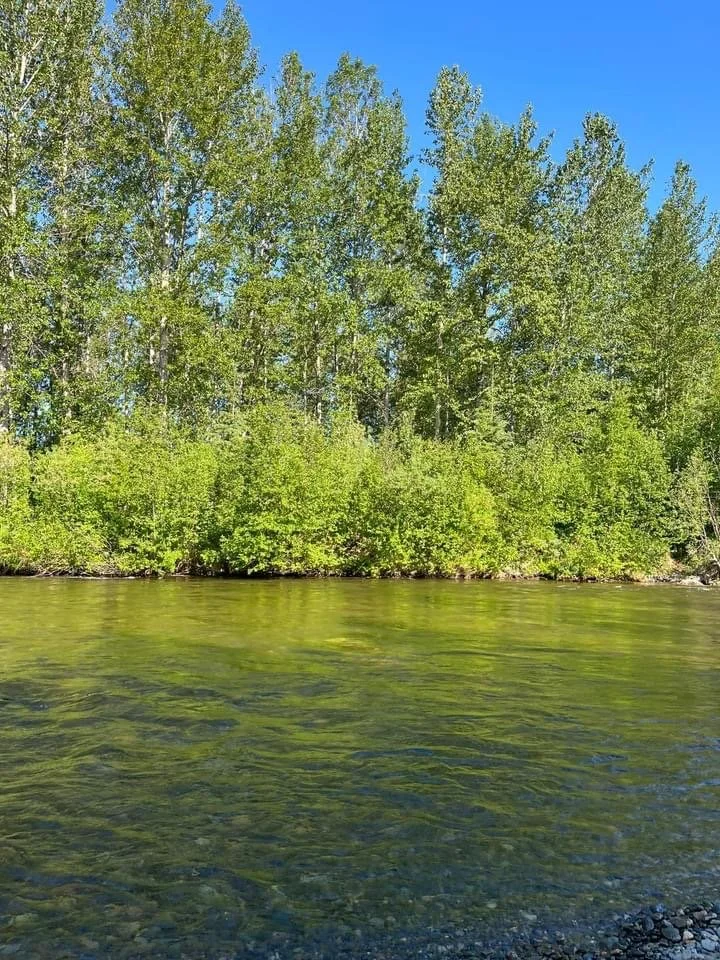 Gallery — Montana Creek Campground