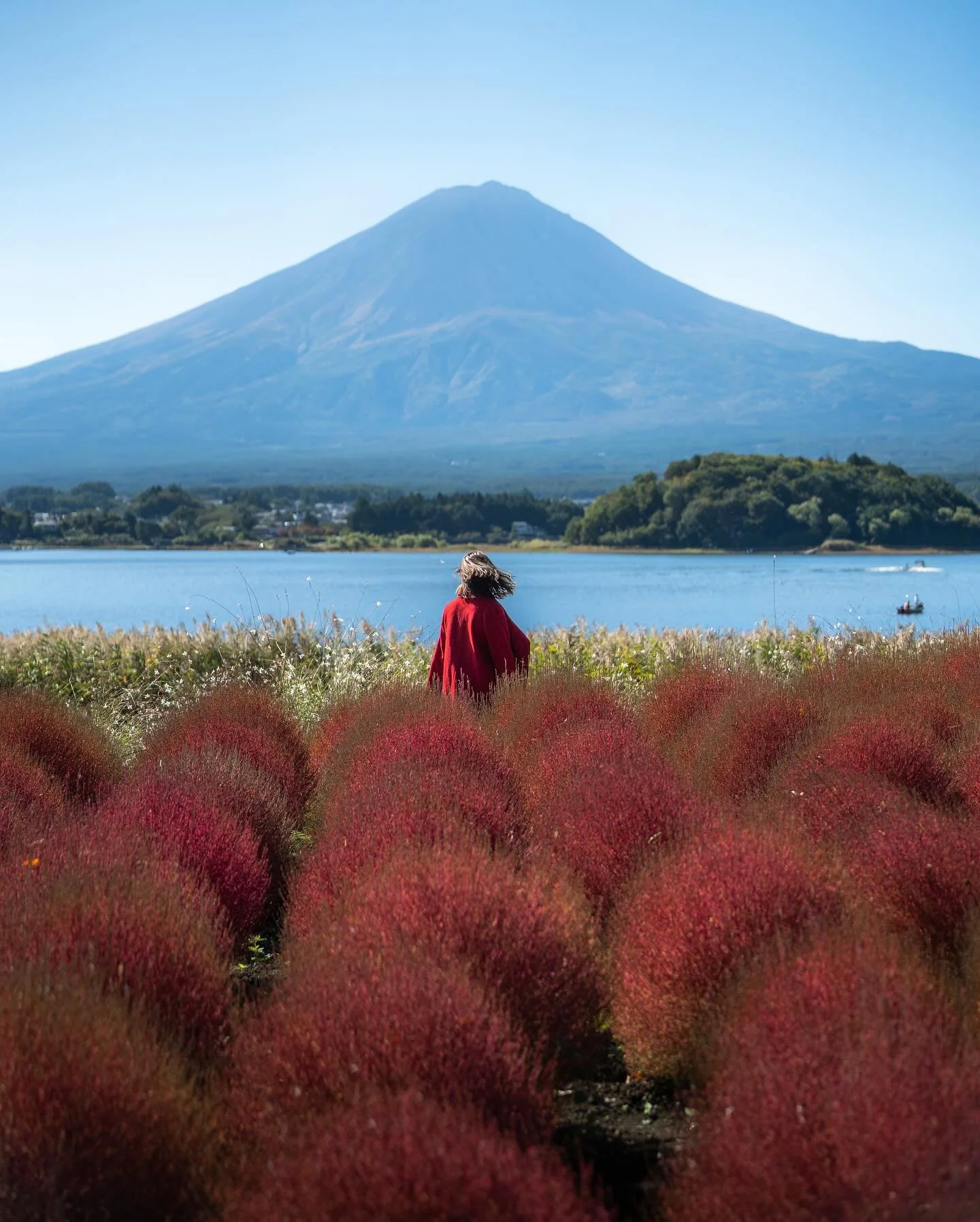 It&rsquo;s taken me way too long to upload this photos but I DID IT! I finally got to see the red cochia bushes at Mt Fuji 😍 This was from a few weeks back and even we were still a day or two behind the peak red colour but such is life when Fuji is 