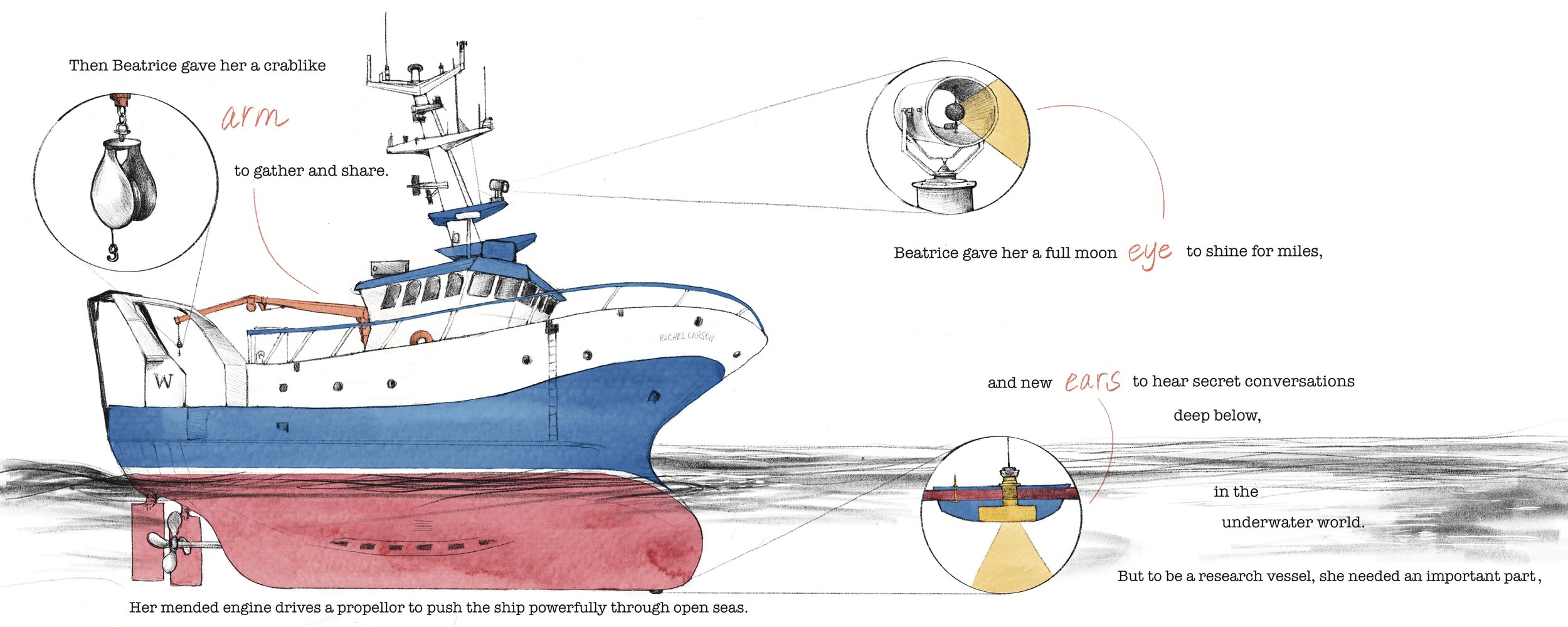 RV Carson Dummy illustration