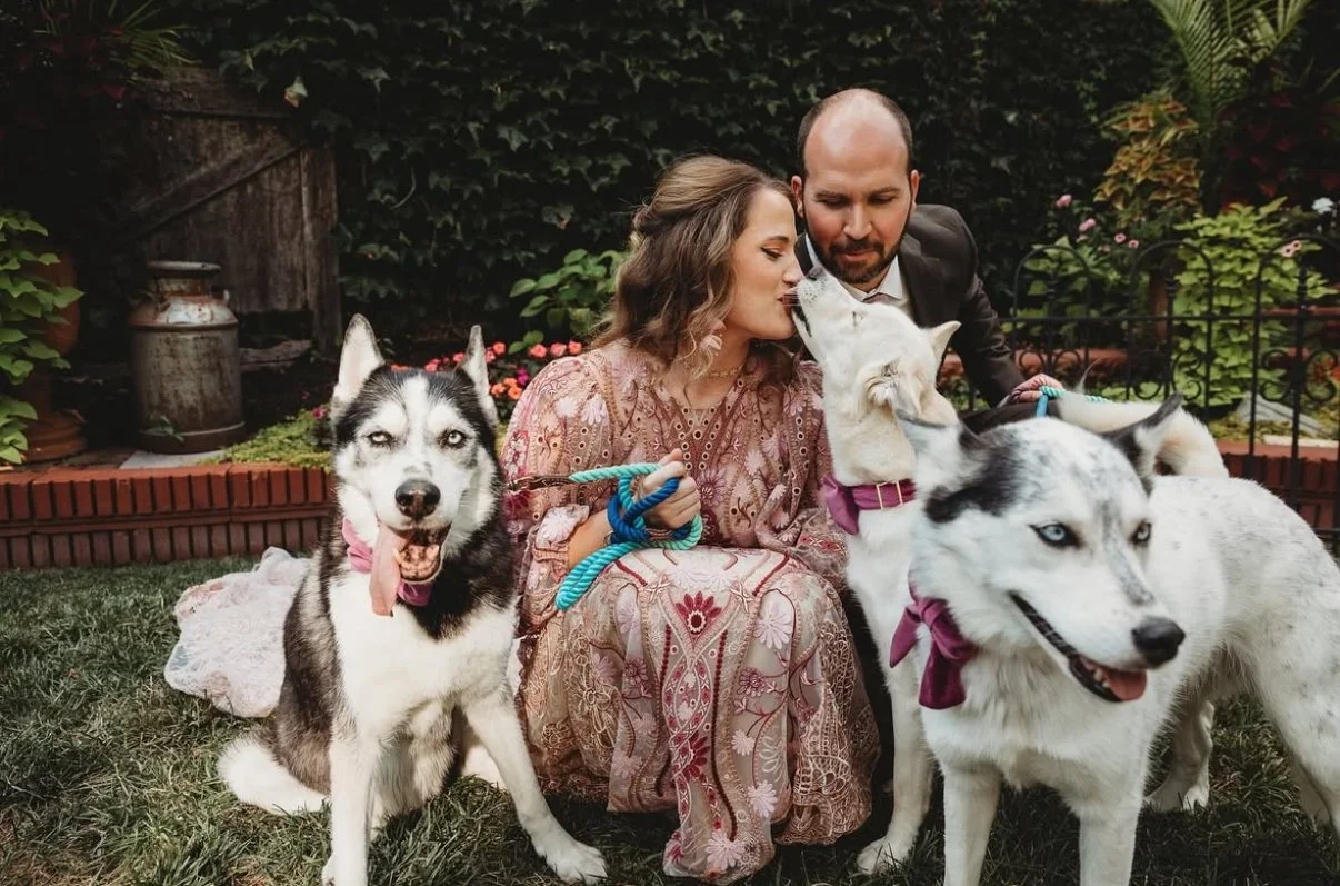 LoveandLightWeddings.jpg