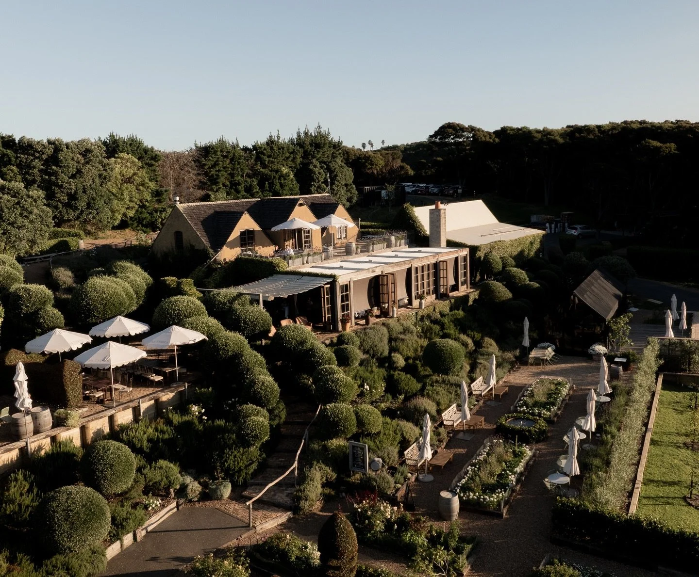 A dream day capturing B&amp;S at the breathtaking venue Mudbrick on Waiheke Island 🤍 We can&rsquo;t wait to share more from this day very soon. 

Couple: @benblyde @sydney_mallonpiper
Venue: @mudbrick_weddings
Florist: @wildflowerwaiheke
Dress Desig