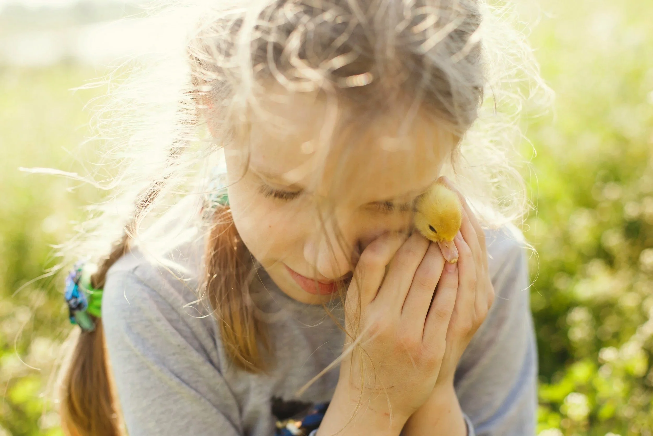 A shy young girl holding a duck, representing a child with selective mutism who speaks freely at home but struggles to communicate in social settings.