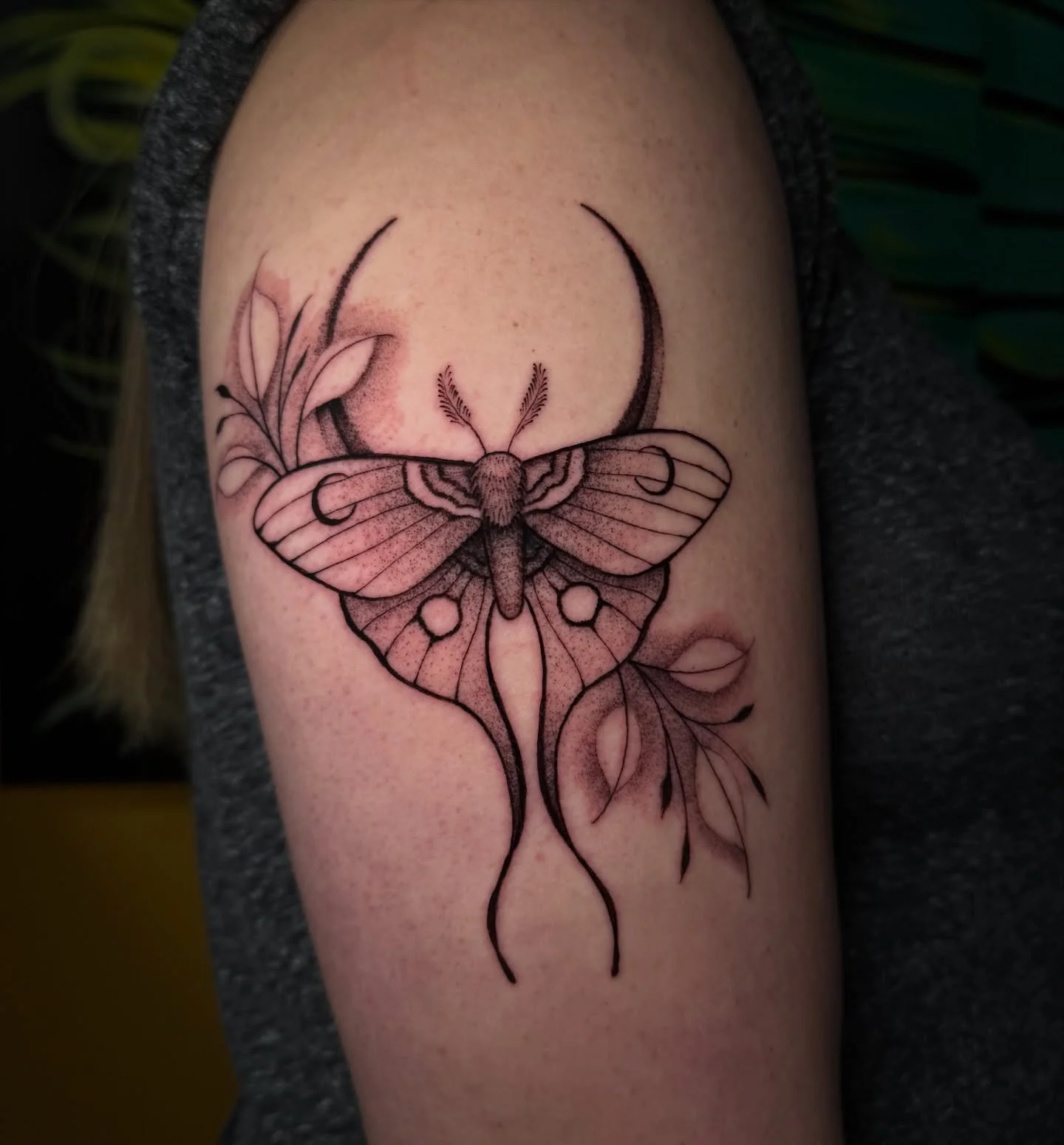 Luna moth from a while ago, always down to do bugs and moons🖤 thanks for looking
