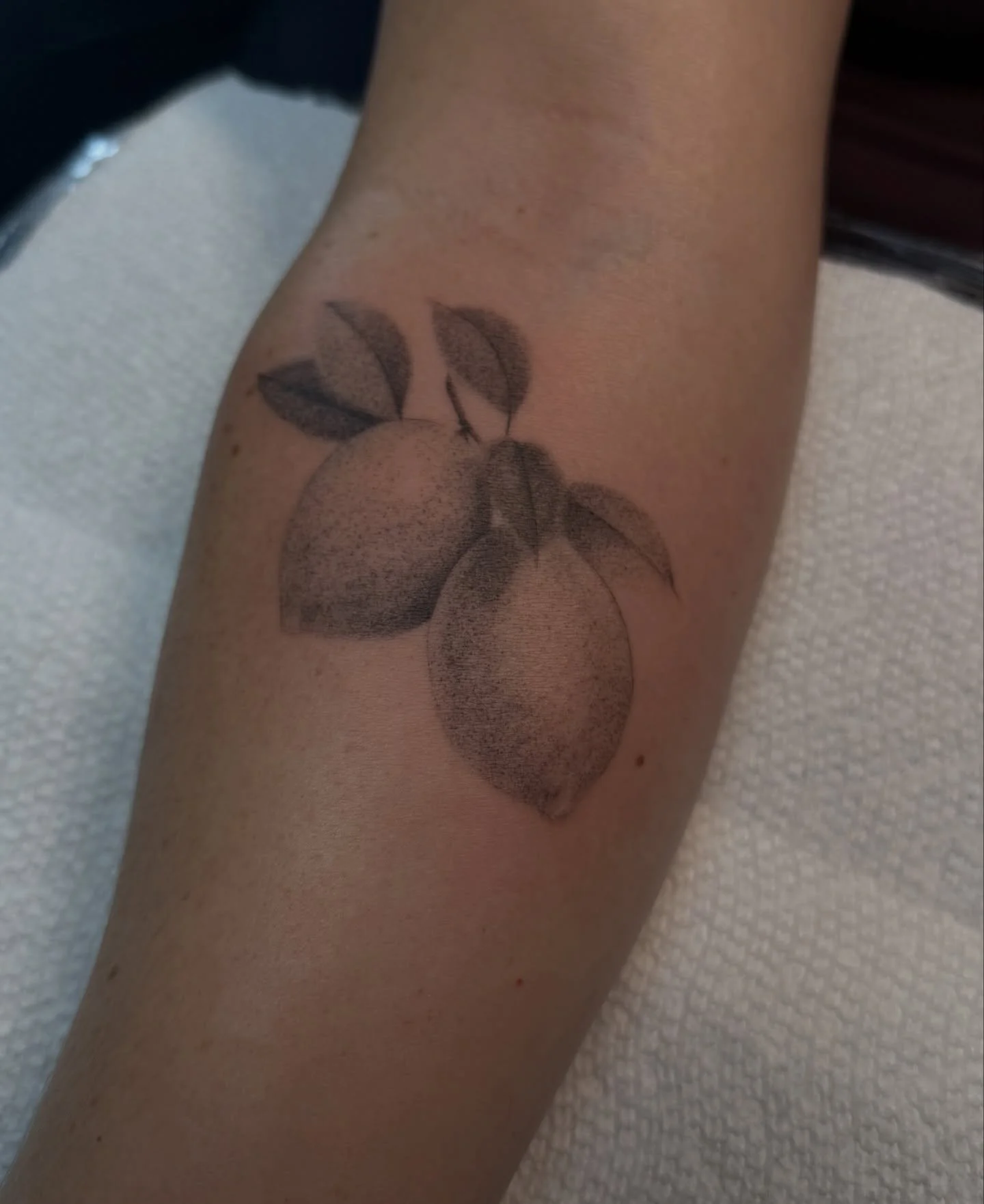 Raw photo of some lemons from yesterday, booking April. DM or Text🩵