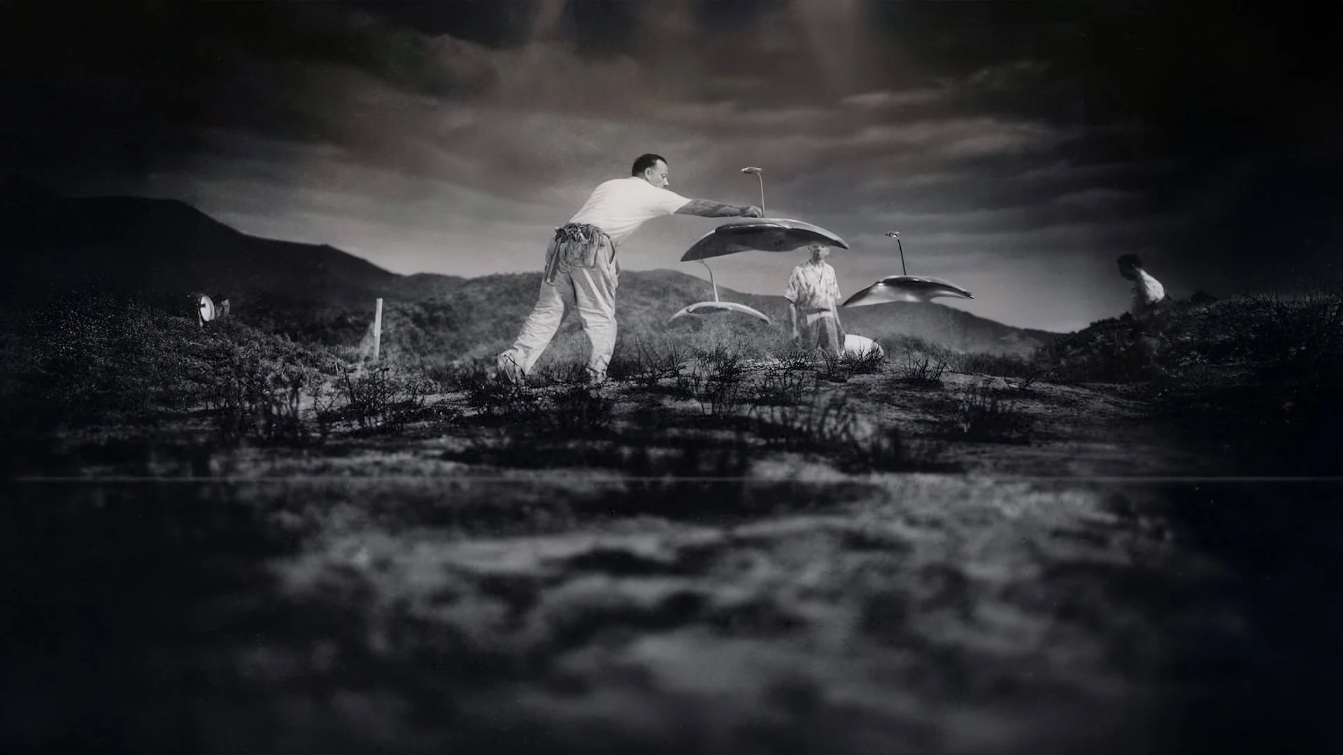 WOW In-line Images-2.jpg