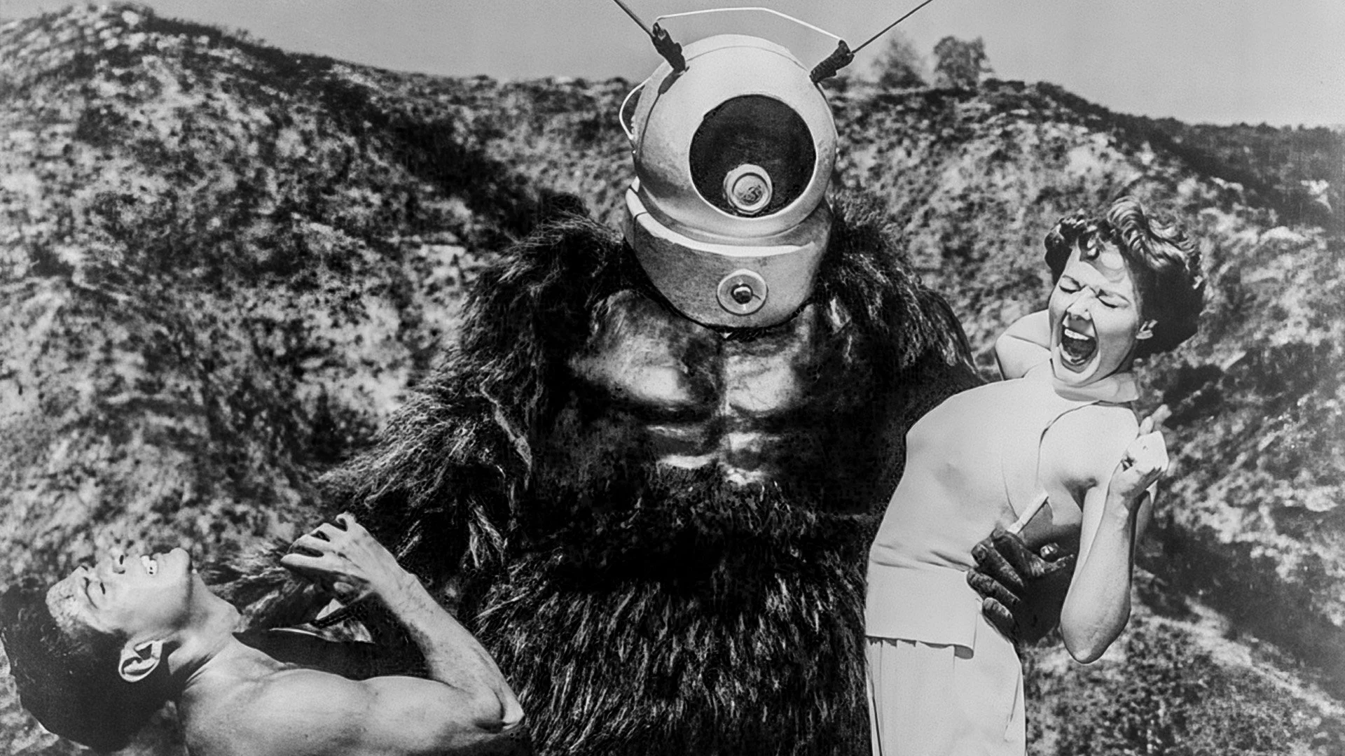 RM - In-line Images-7.jpg