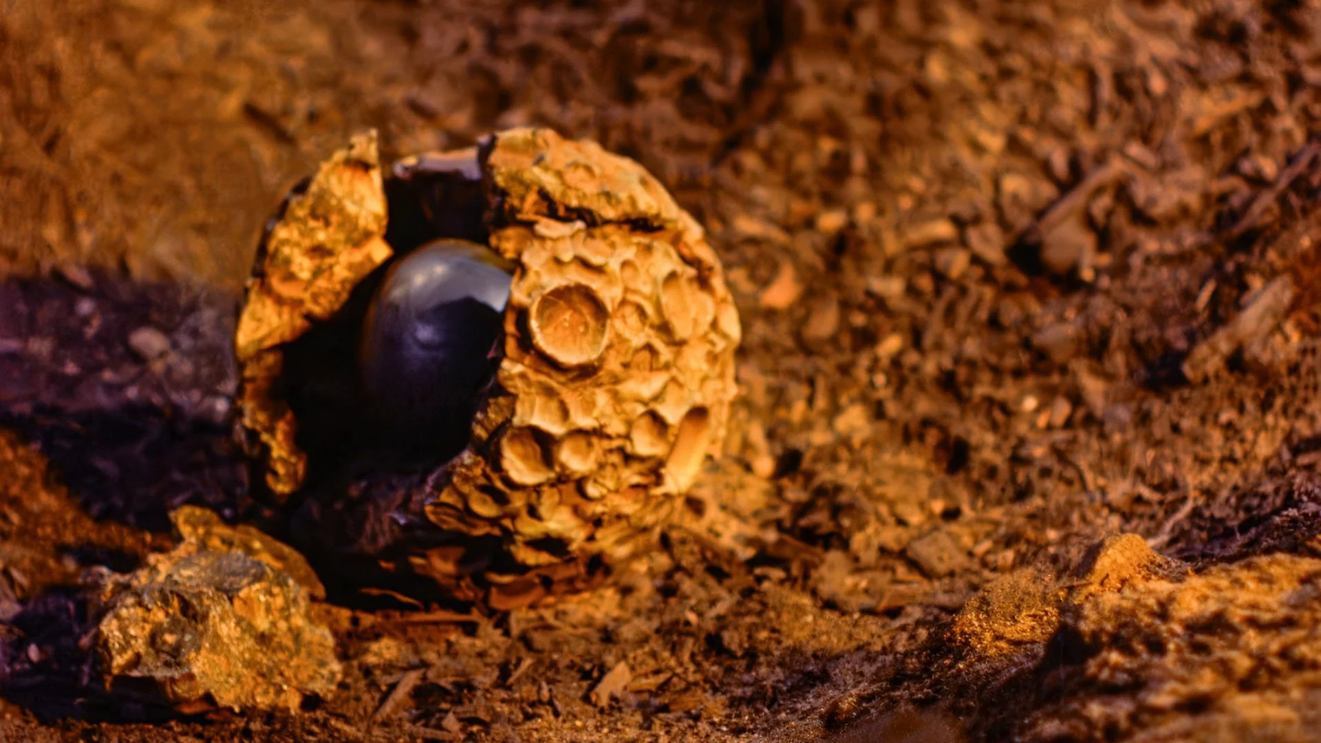 Blob Inline Article Photos-4.jpg