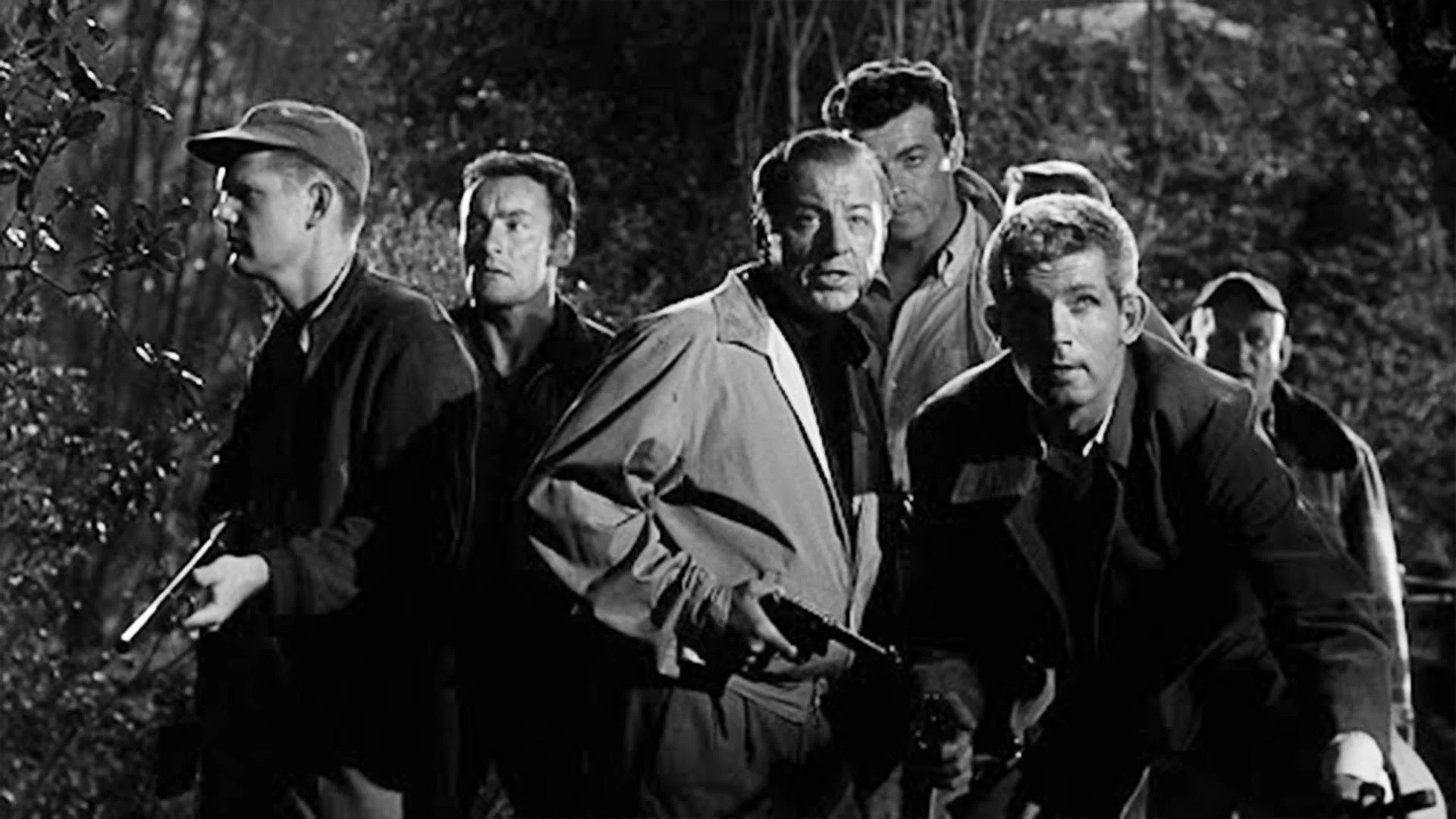 1950s Shadow IMAMFOS-4.jpg