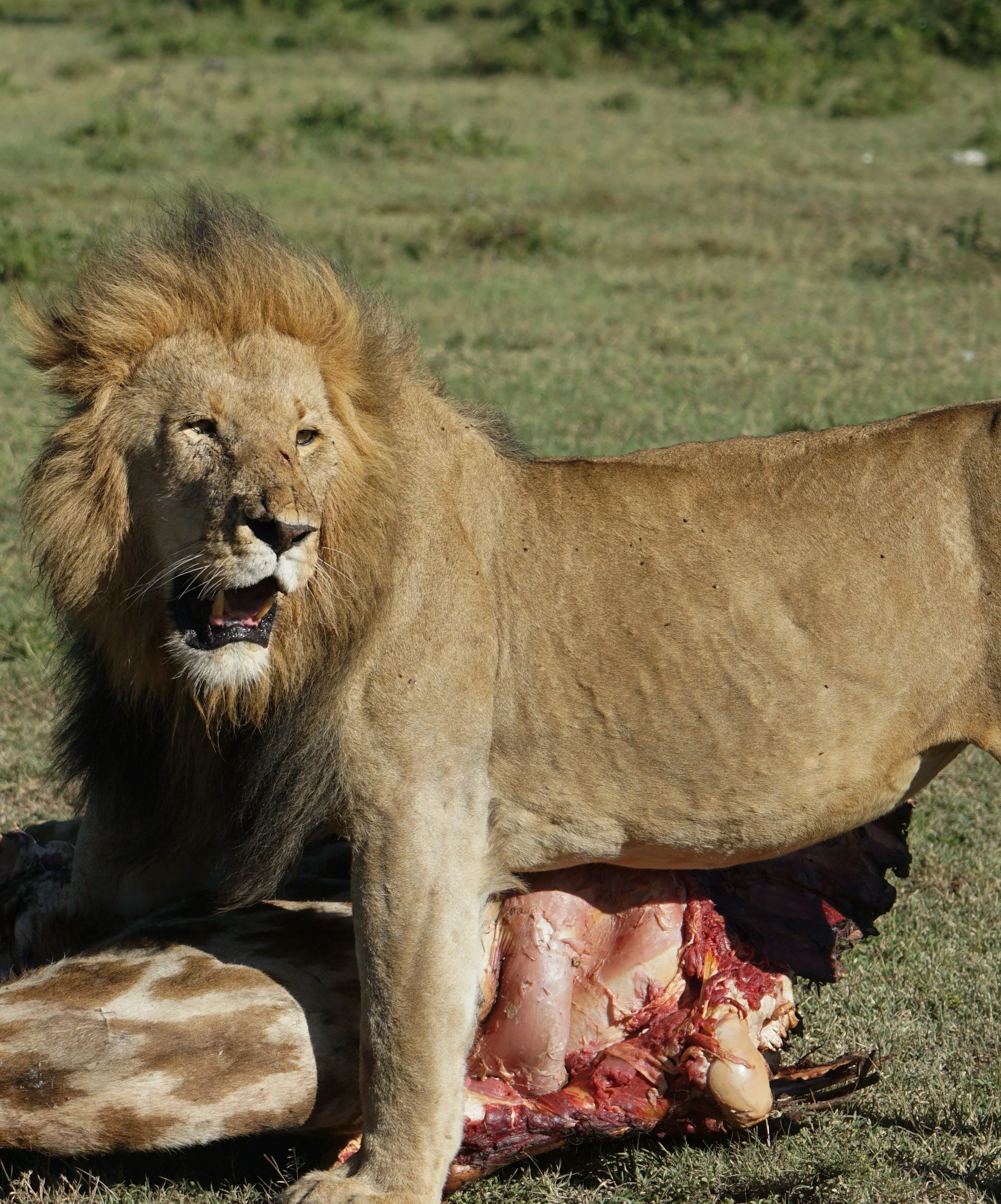 Mystic Musings: Holy Saturday