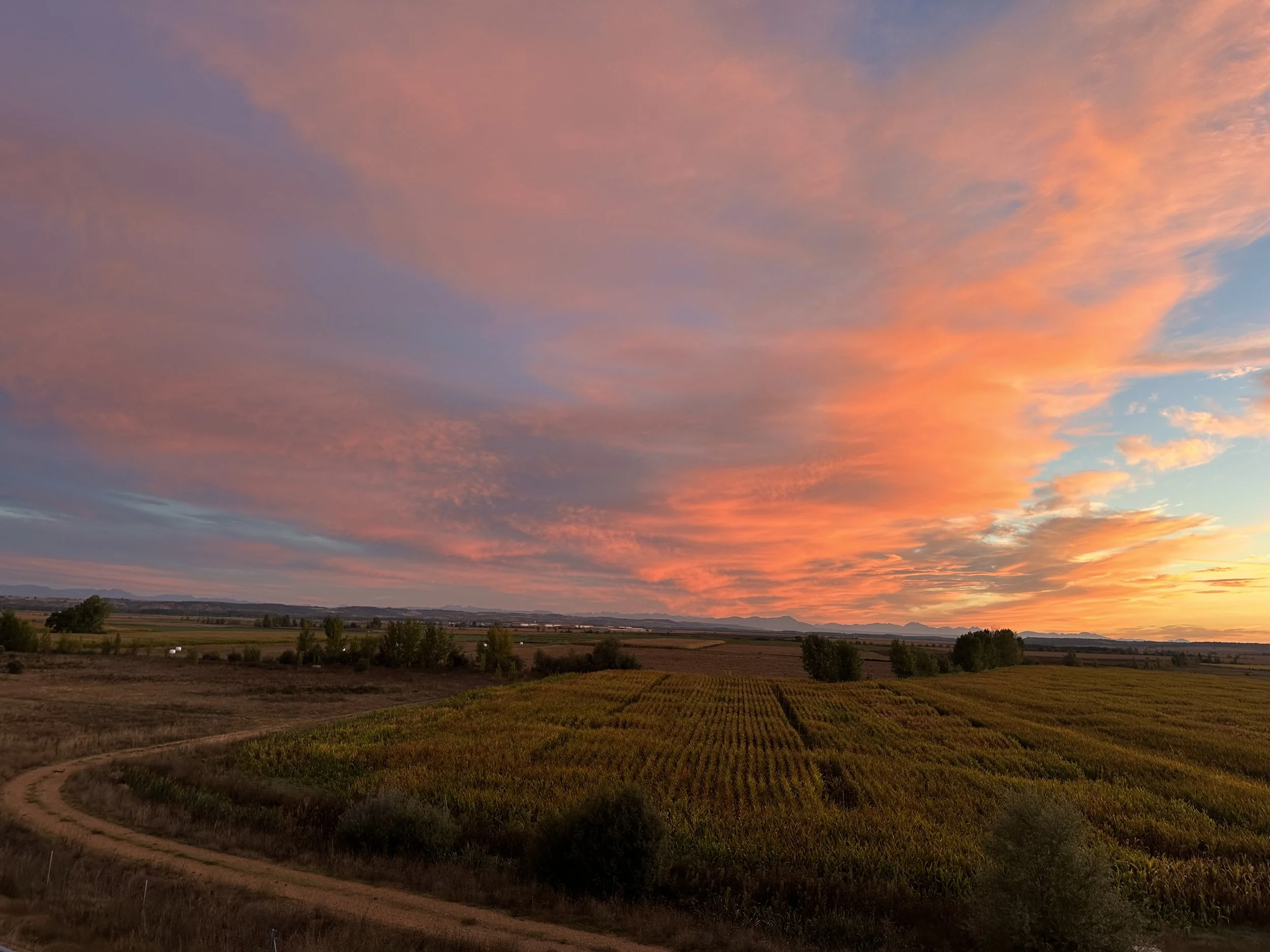 Whispers from the Camino—Day 22