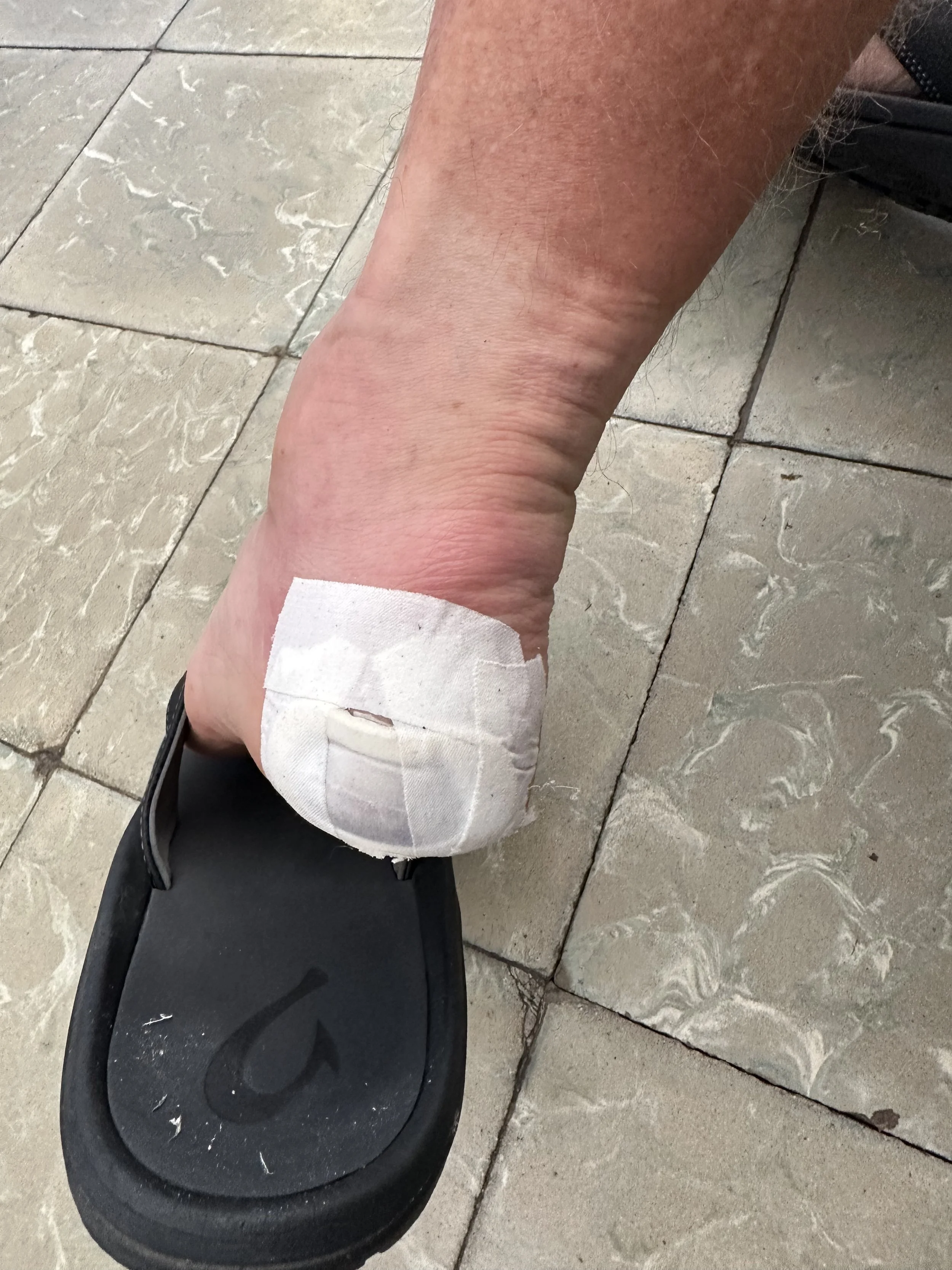 Whispers from the Camino—Day 24