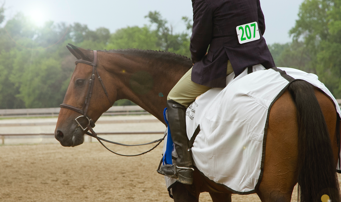 Screen Shot 2023-02-18 at 5.04.43 PM.png