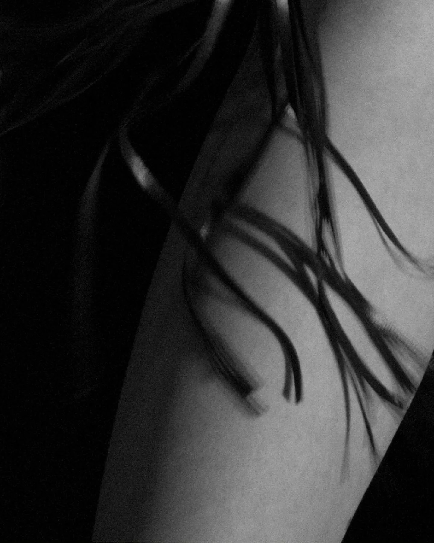 Our coveted f|oggers are back, and as usual, they won&rsquo;t be around for long... *very* limited stock. 

You know where the link is... go!