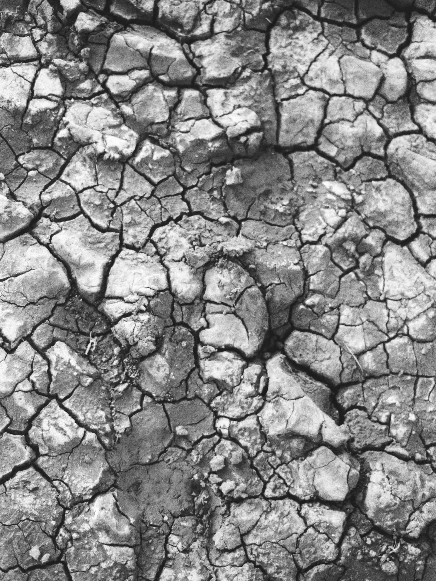 Visualisations of sensations 
2/ Mud cracks on Holy Island

What does your body like to receive?

The body holds sensations beyond the expression of words. Glimpses of our surroundings echo sacred moments of touch. These linger with us long after the